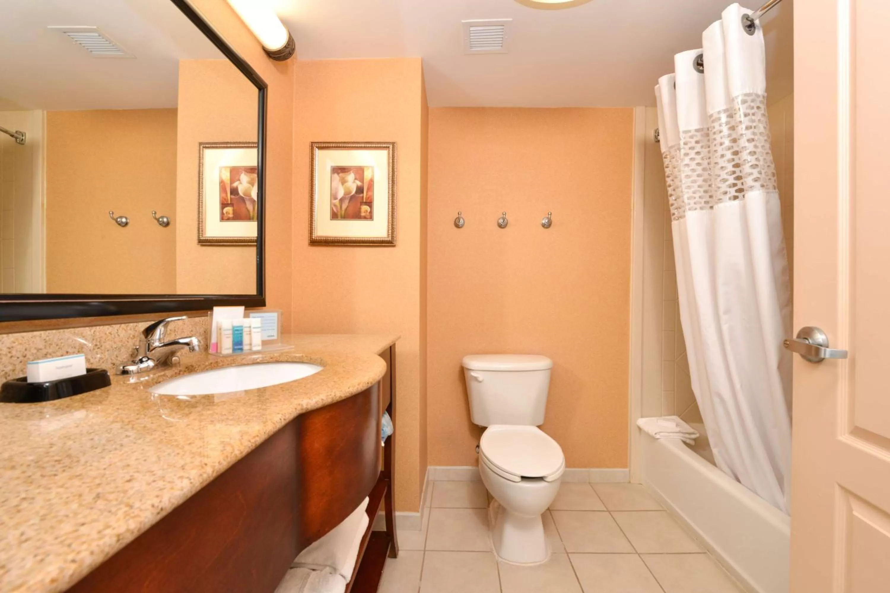 Bathroom in Hampton Inn and Suites Fredericksburg South