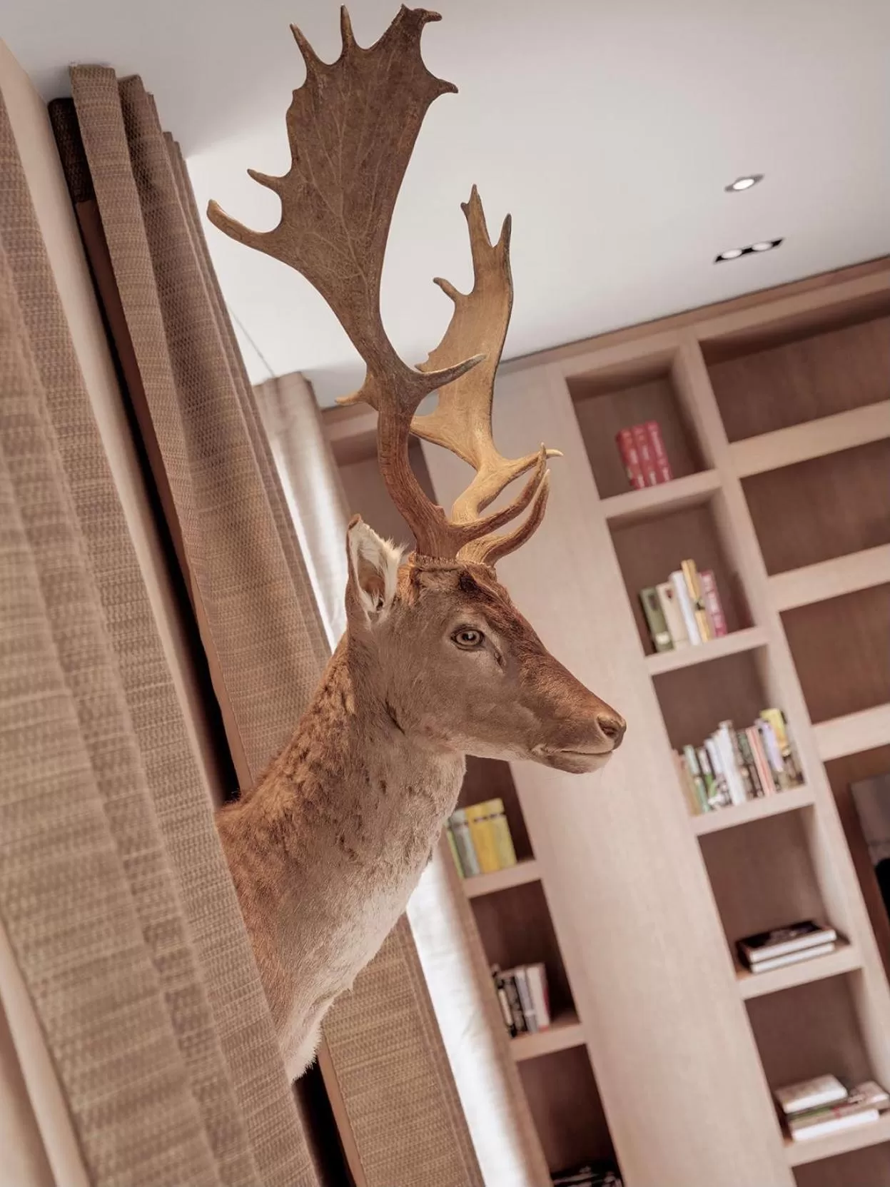 Decorative detail in Boutique Hotel Wellenberg