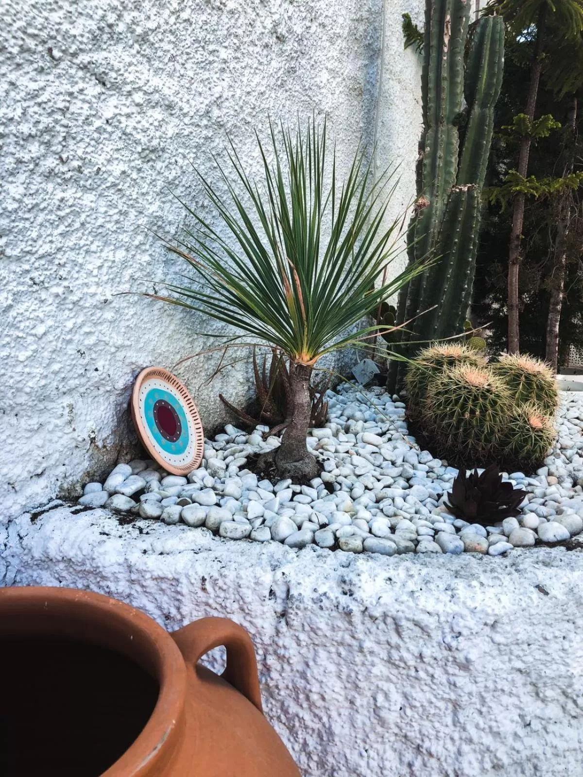 Garden in Conny's Hotel (Adult Only) +18