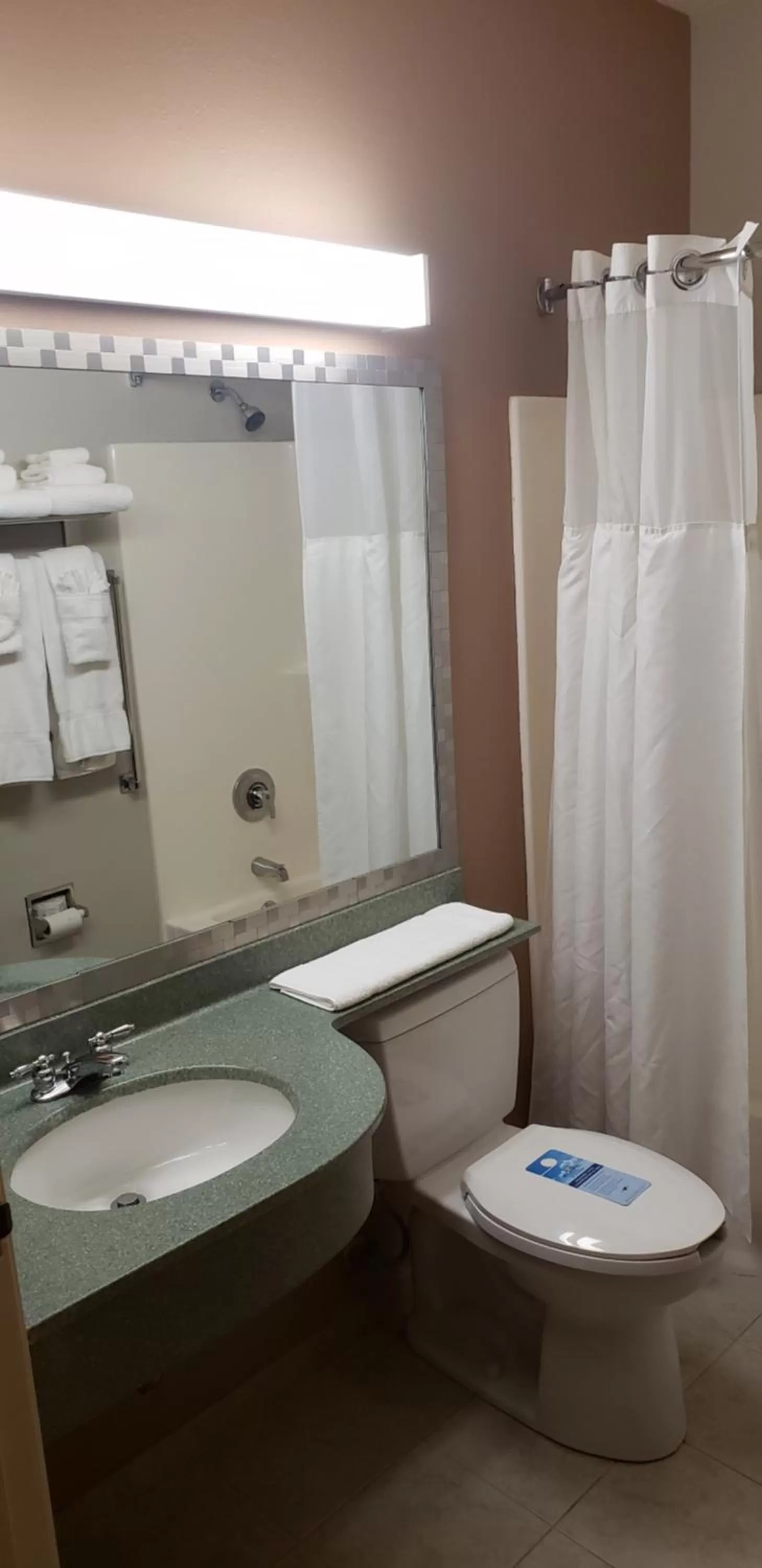 Toilet in York Microtel Inn & Suites by Wyndham