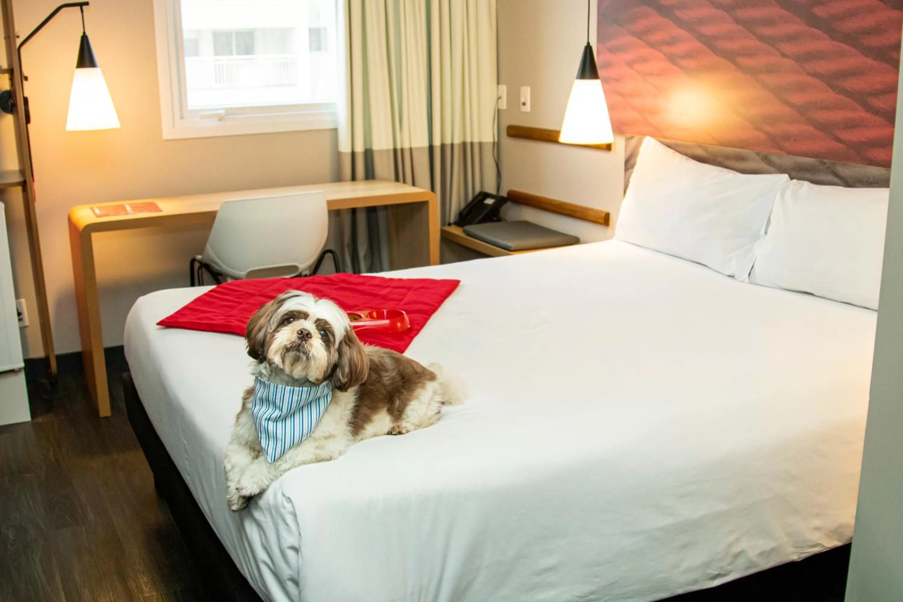 Bed in ibis Sao Paulo Tatuape