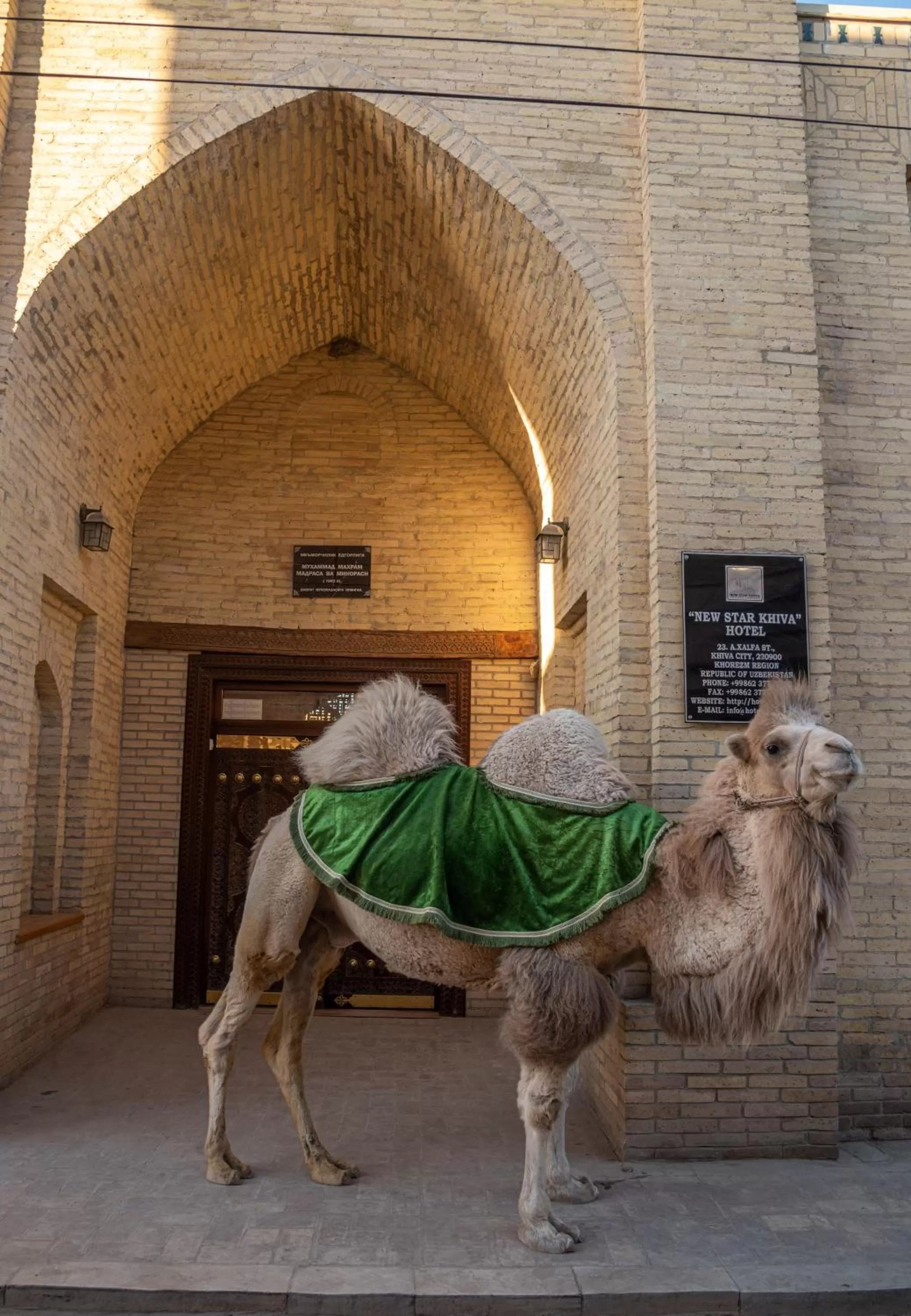 Facade/entrance in New Star Boutique hotel - madrasah Muhammad Mahram 1903
