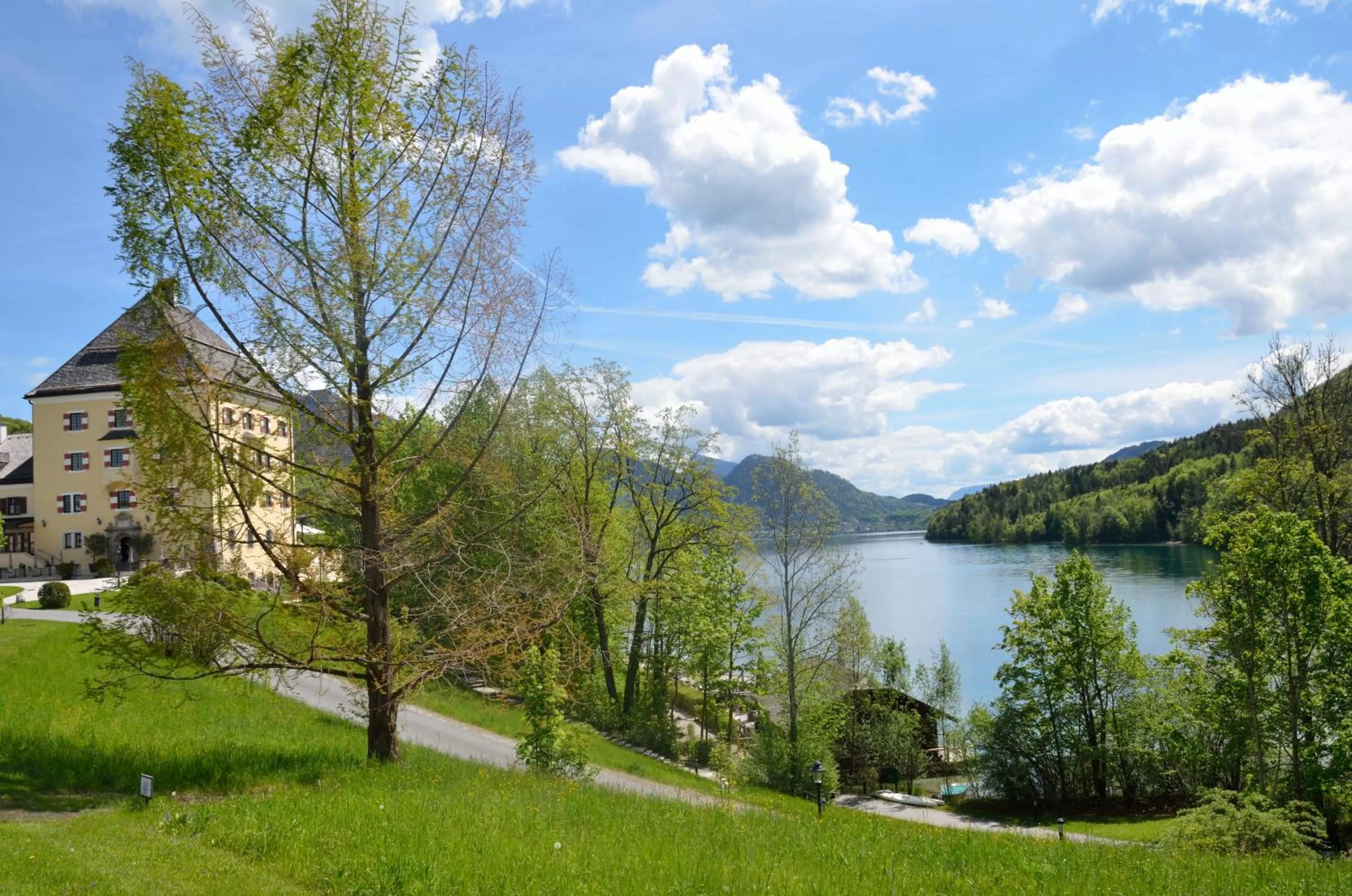 Natural landscape in Panorama Hotel Gasthof Leidingerhof