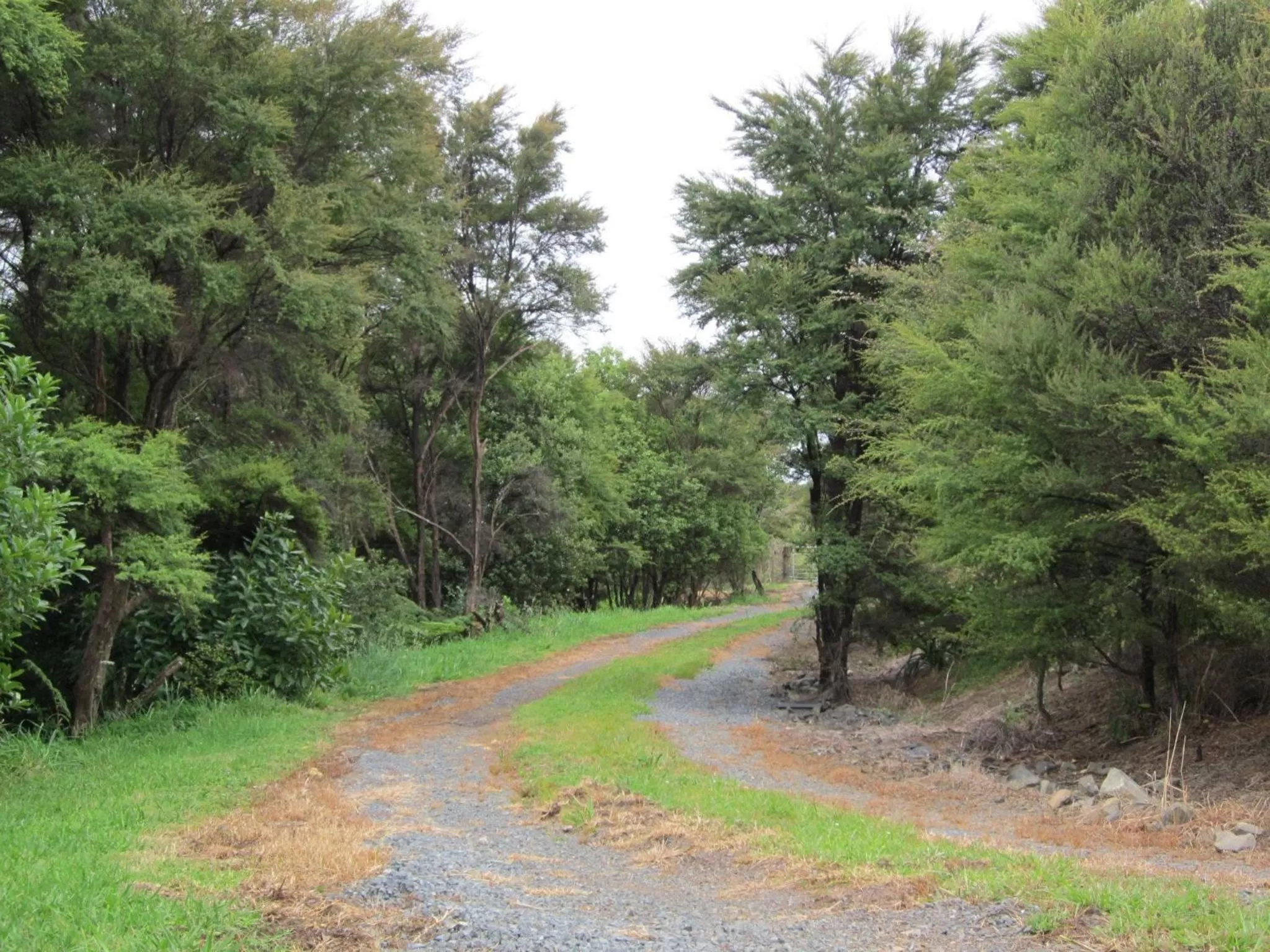 Facade/entrance in Auckland Country Cottages