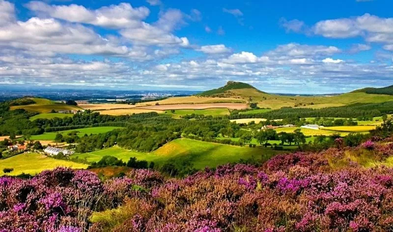Natural landscape, Bird's-eye View in Royal Oak Hotel