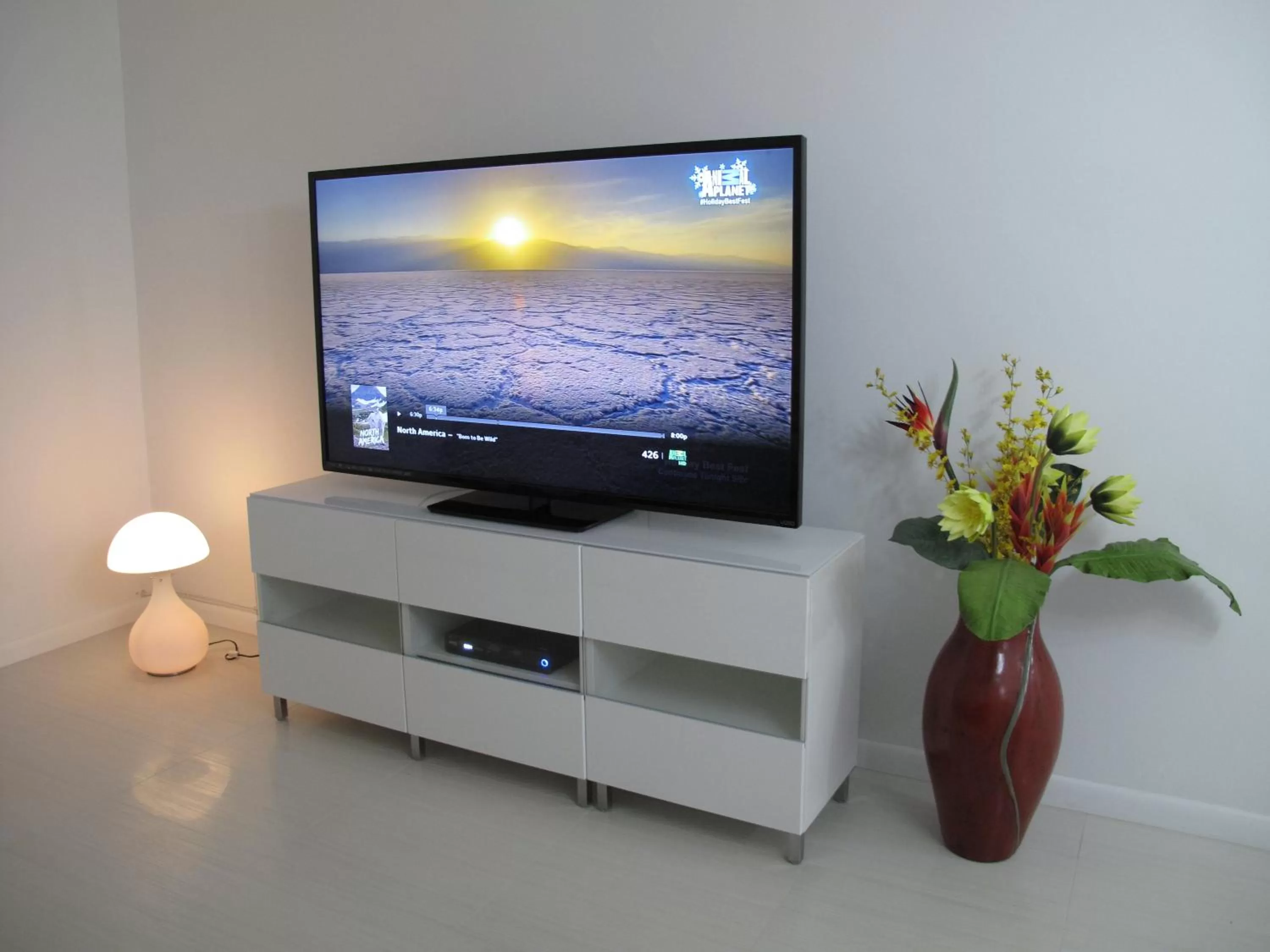 TV and multimedia in Downtown Hollywood Boutique Hotel