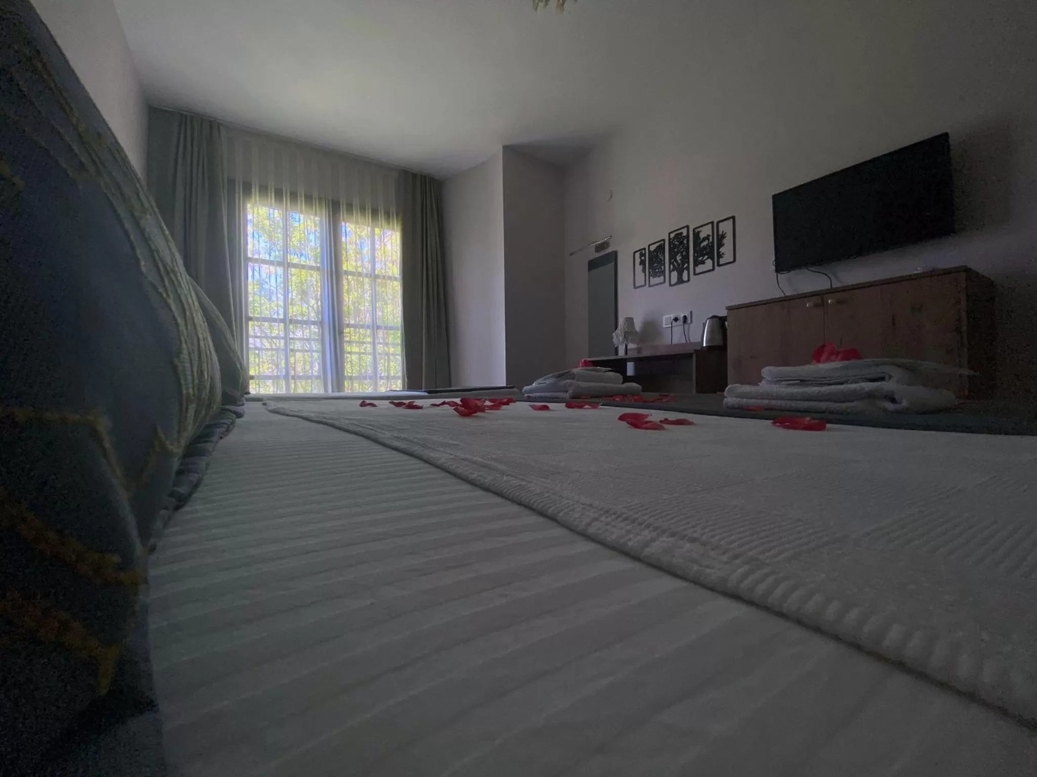 Photo of the whole room in Hotel Palme Dalyan