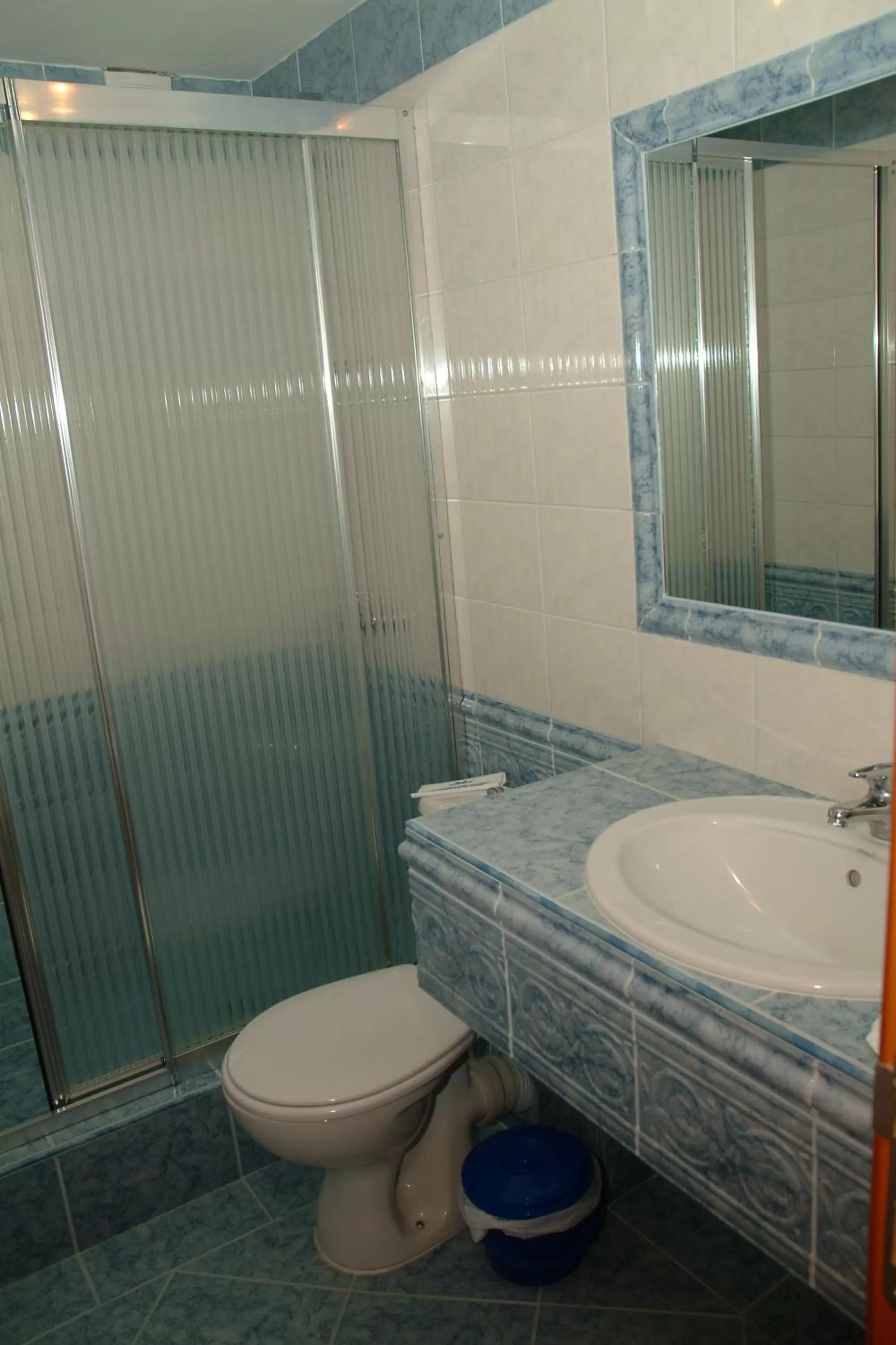 Toilet in Hotel Dobrudja