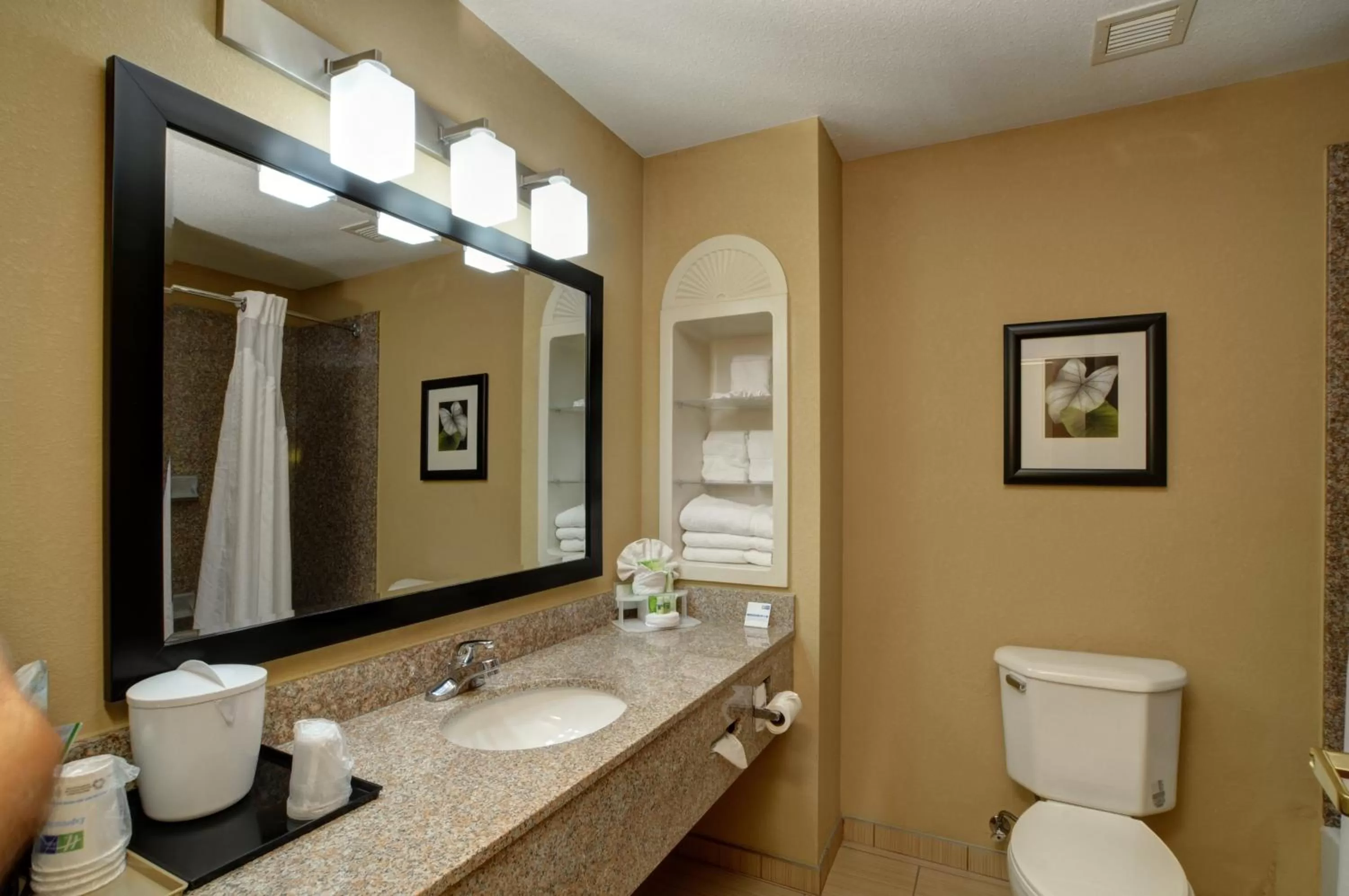 Bathroom in Holiday Inn Express & Suites Midwest City by IHG