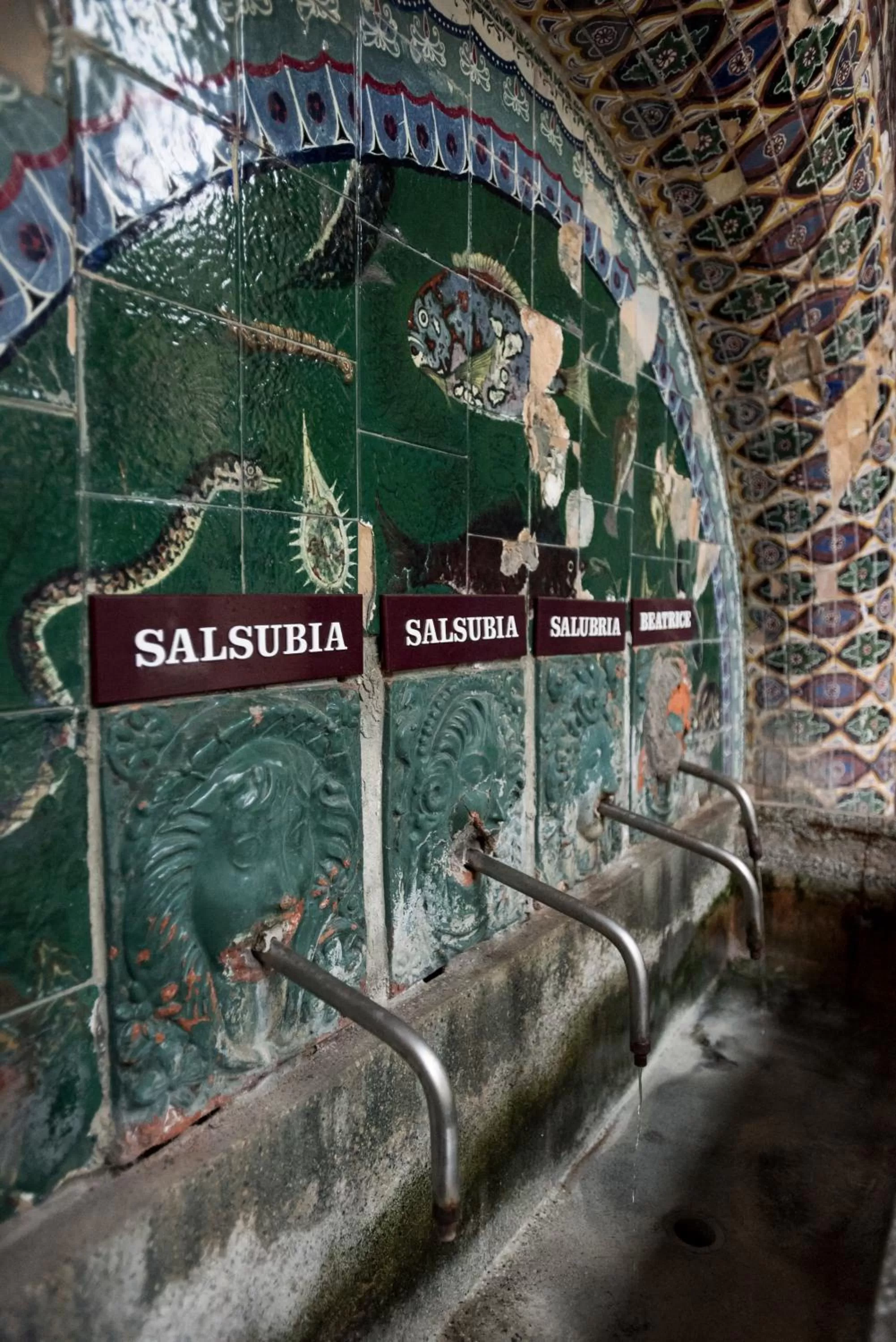 Activities in Grand Hotel Castrocaro Longlife Formula