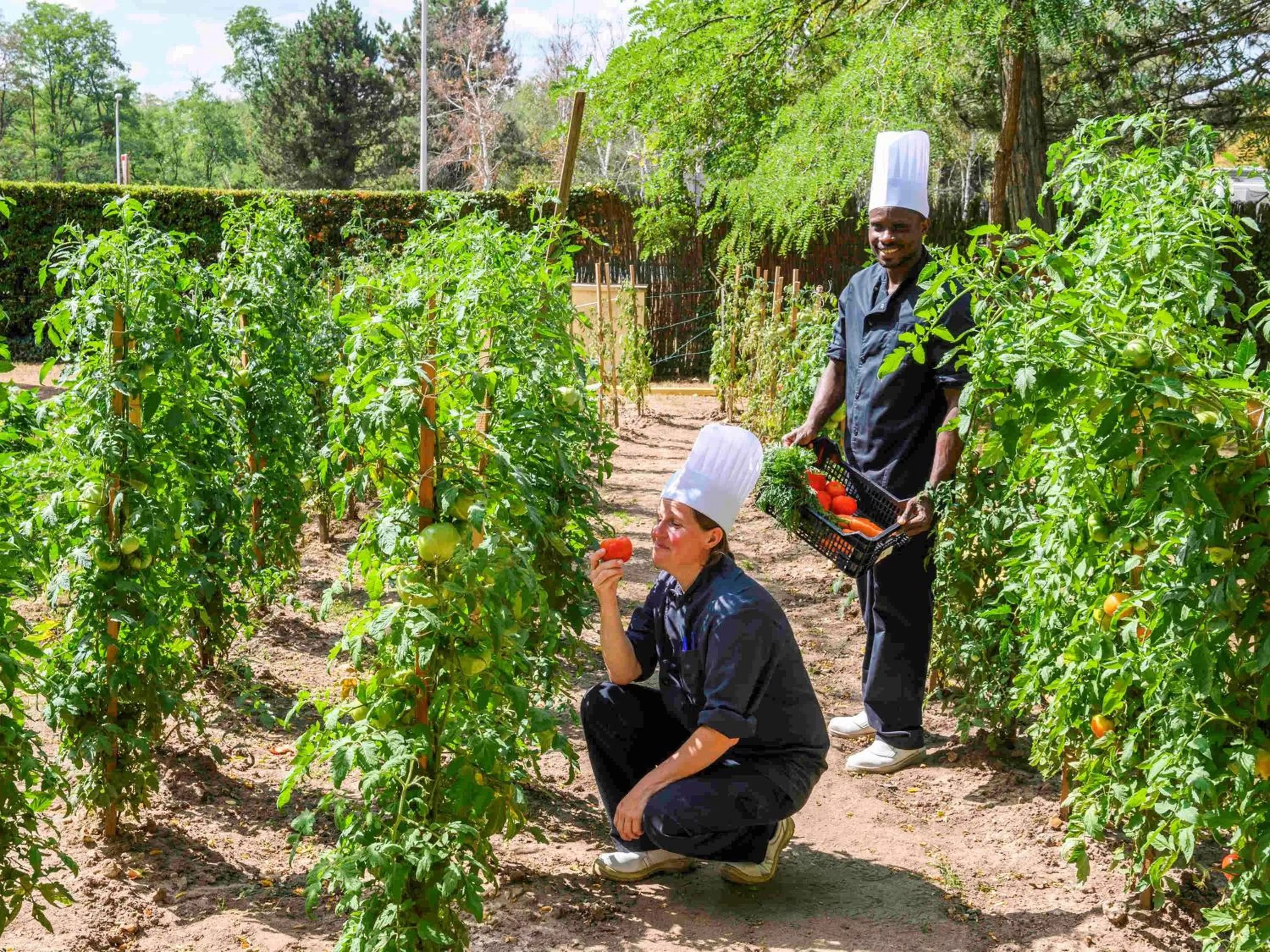 Other in Novotel Orléans Chemins De Sologne Demeures De Campagne
