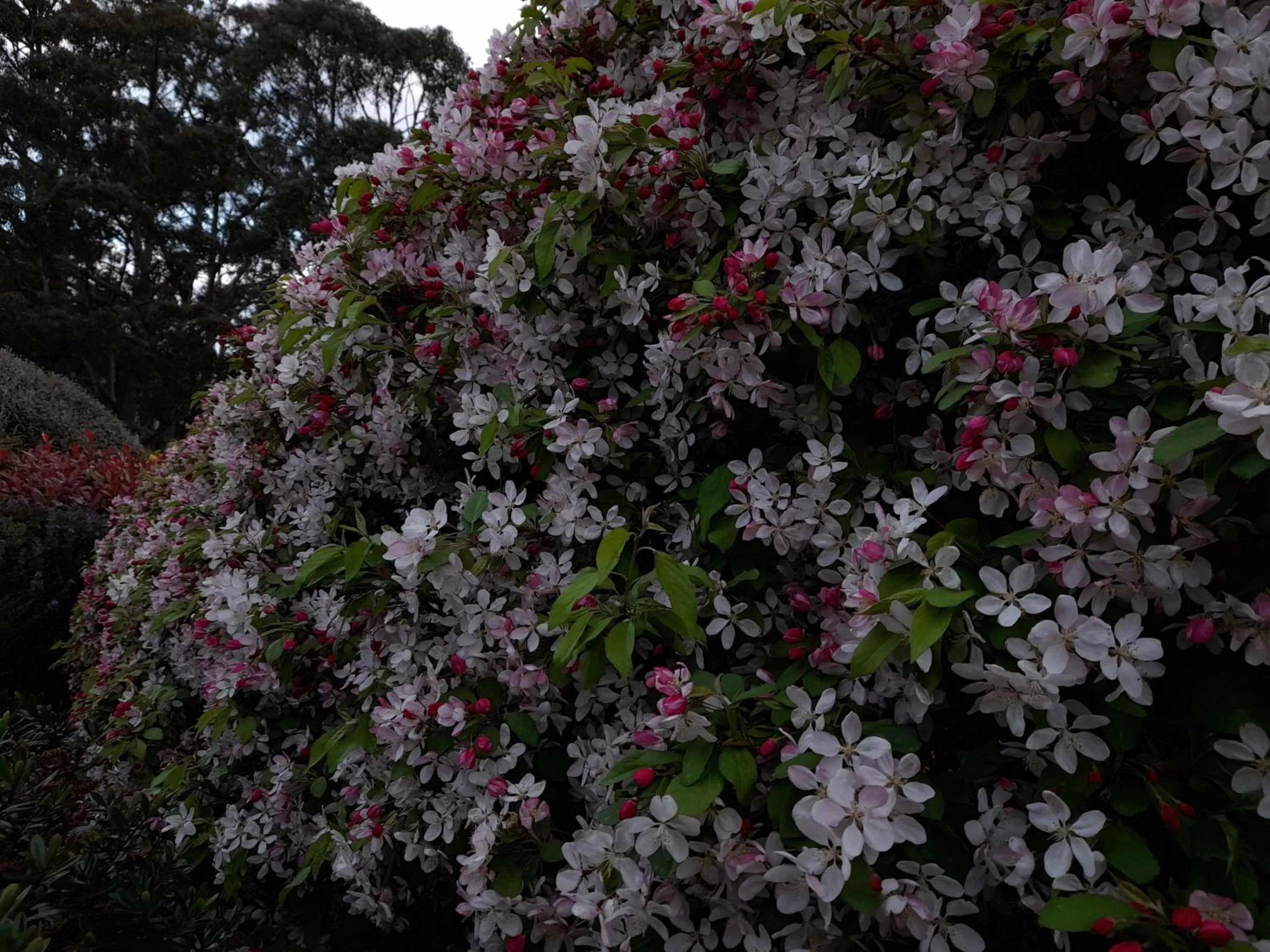 Hillside Bed and Breakfast