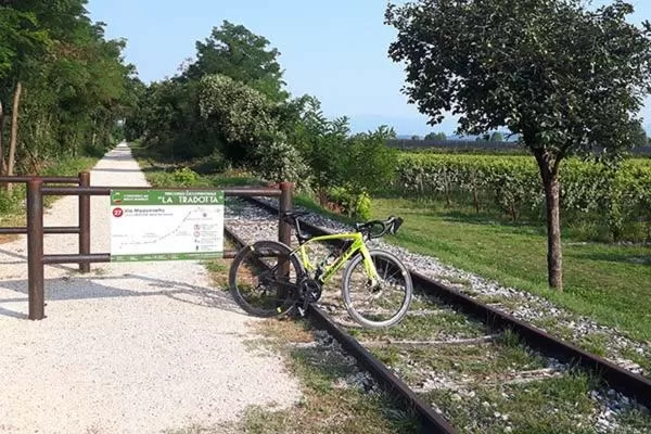 Activities in Casa Nostra