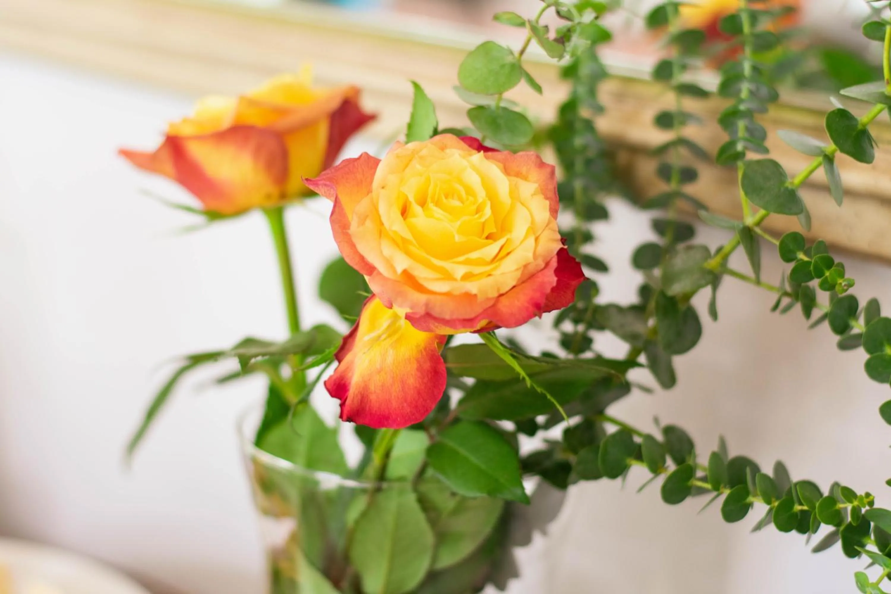 Decorative detail in Rozenburg Guest House