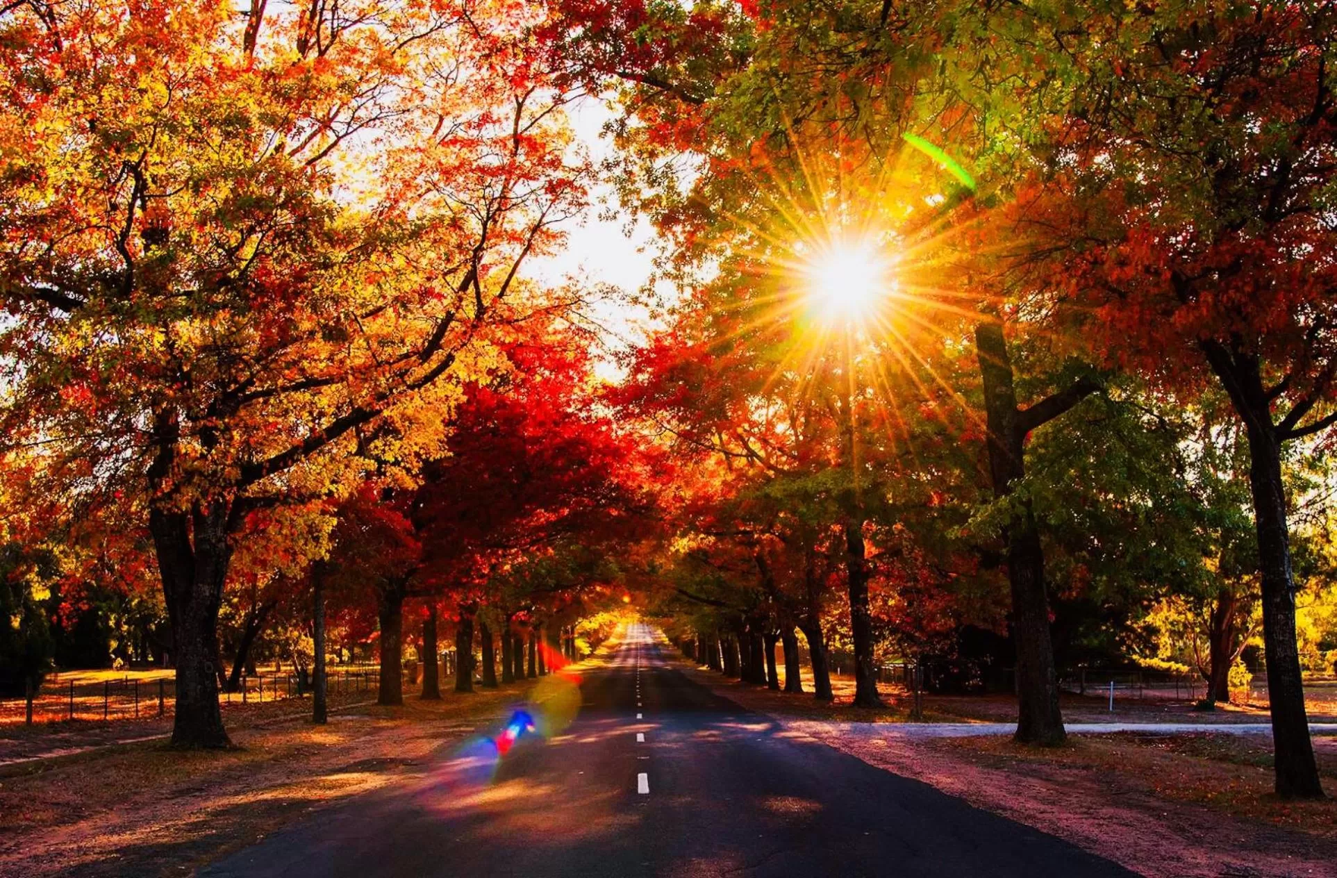 View (from property/room) in Black Forest Motel