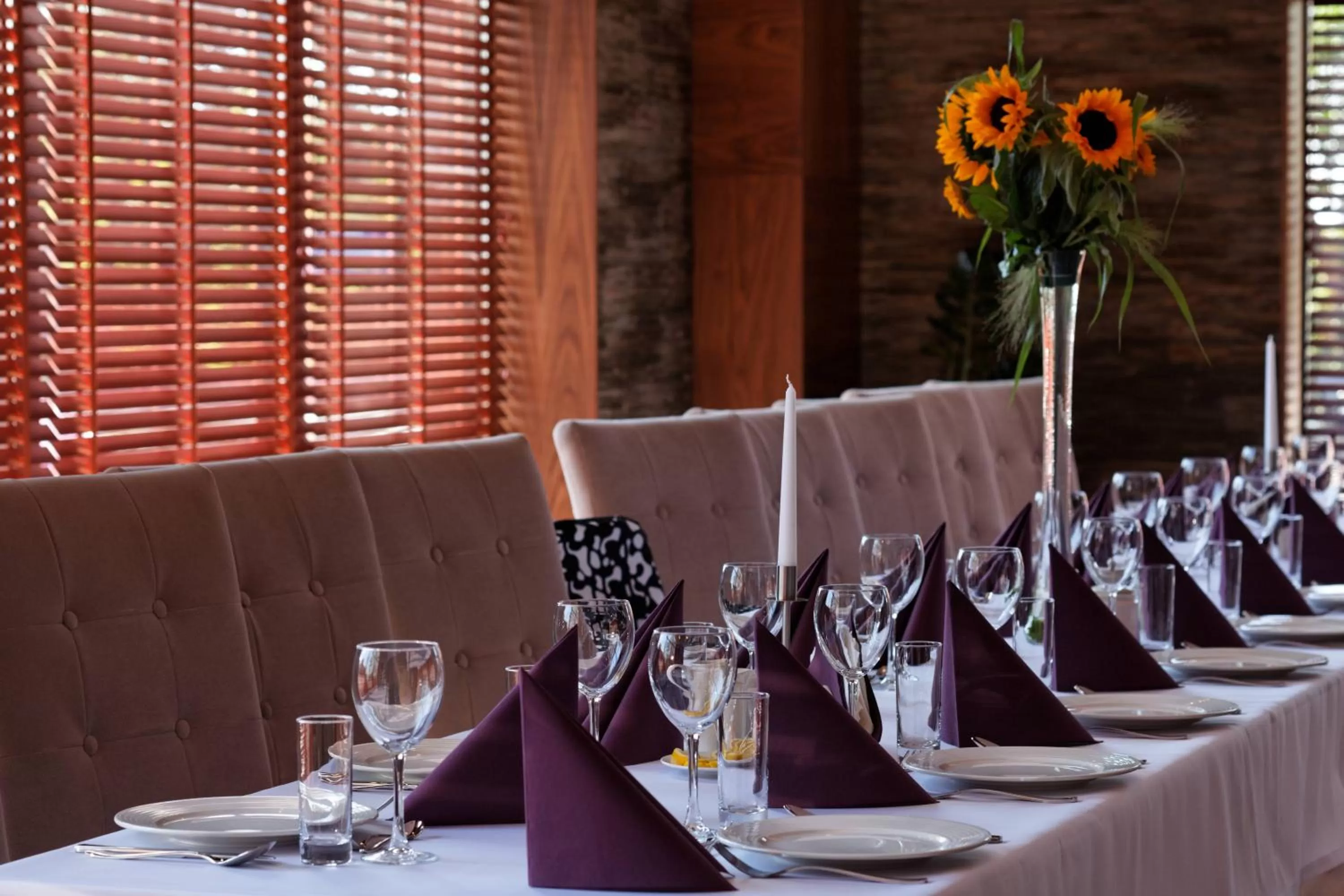 Restaurant/places to eat in Hotel Modus