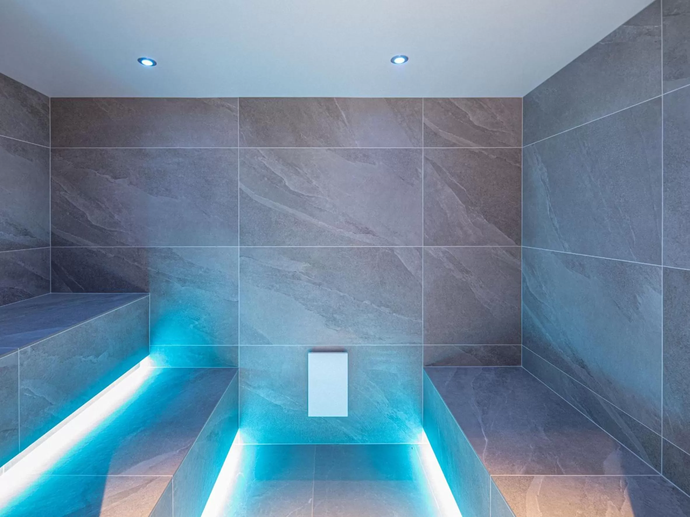 Spa and wellness centre/facilities, Swimming Pool in PURE Resort Schruns