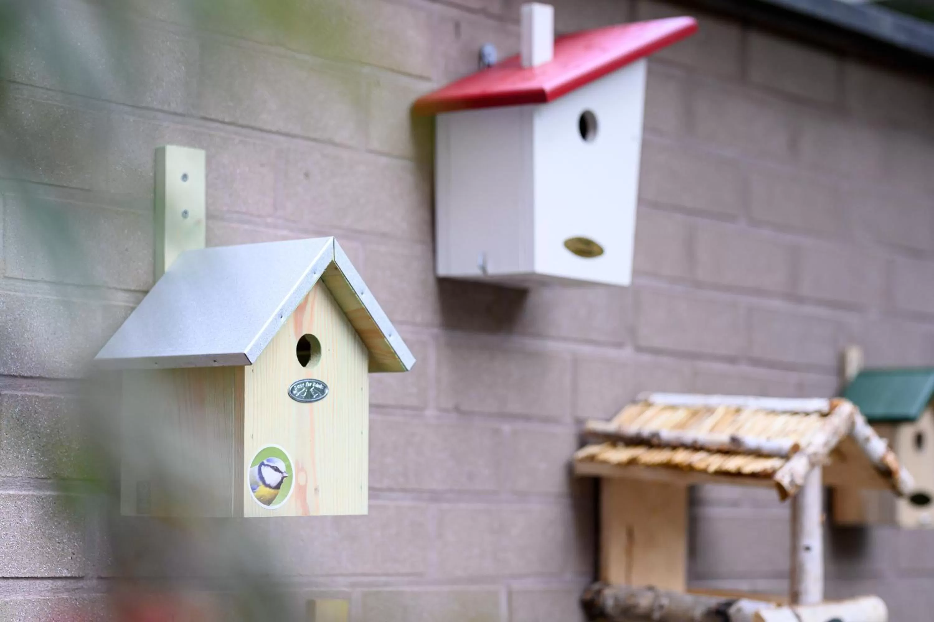 Garden in Holiday Inn Brussels Schuman by IHG