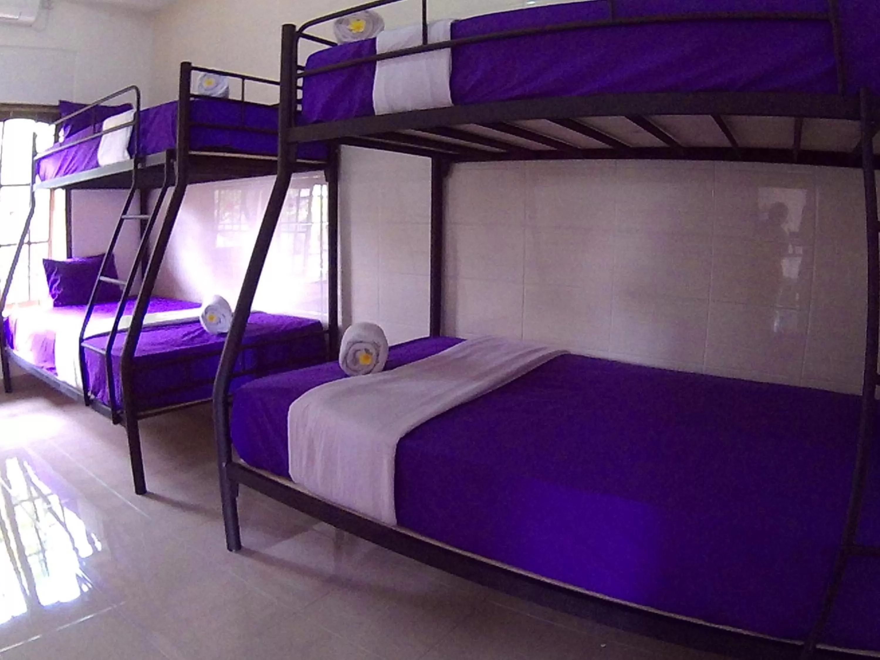 bunk bed, Bed in 24/7 Bed & Breakfast
