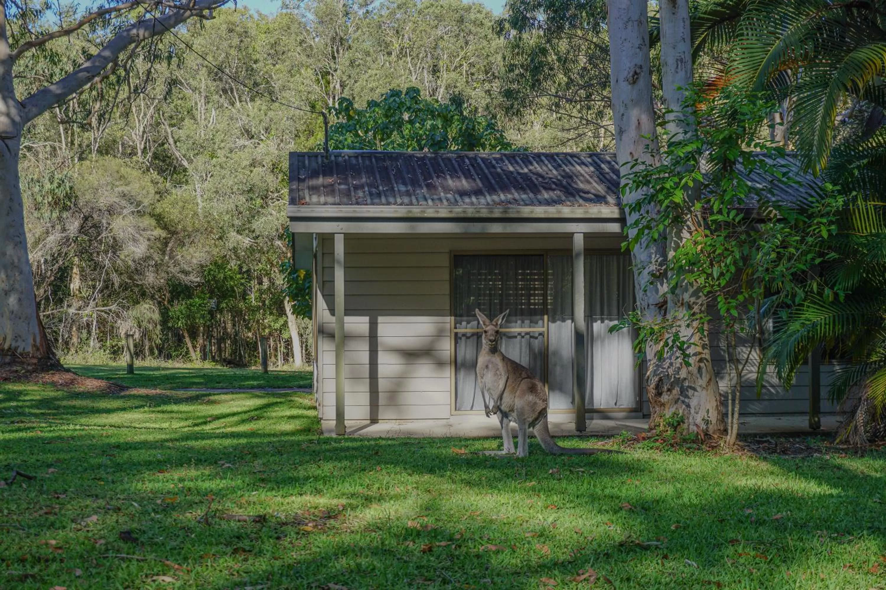 Facade/entrance in Noosa North Shore Retreat