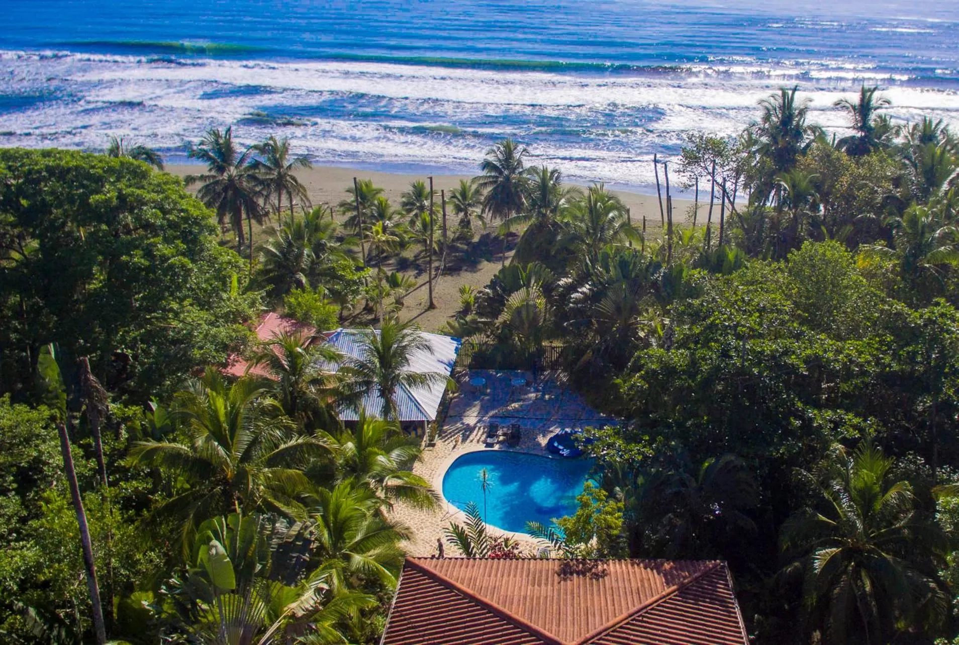 Bird's eye view, Pool View in Hotel Playa Westfalia