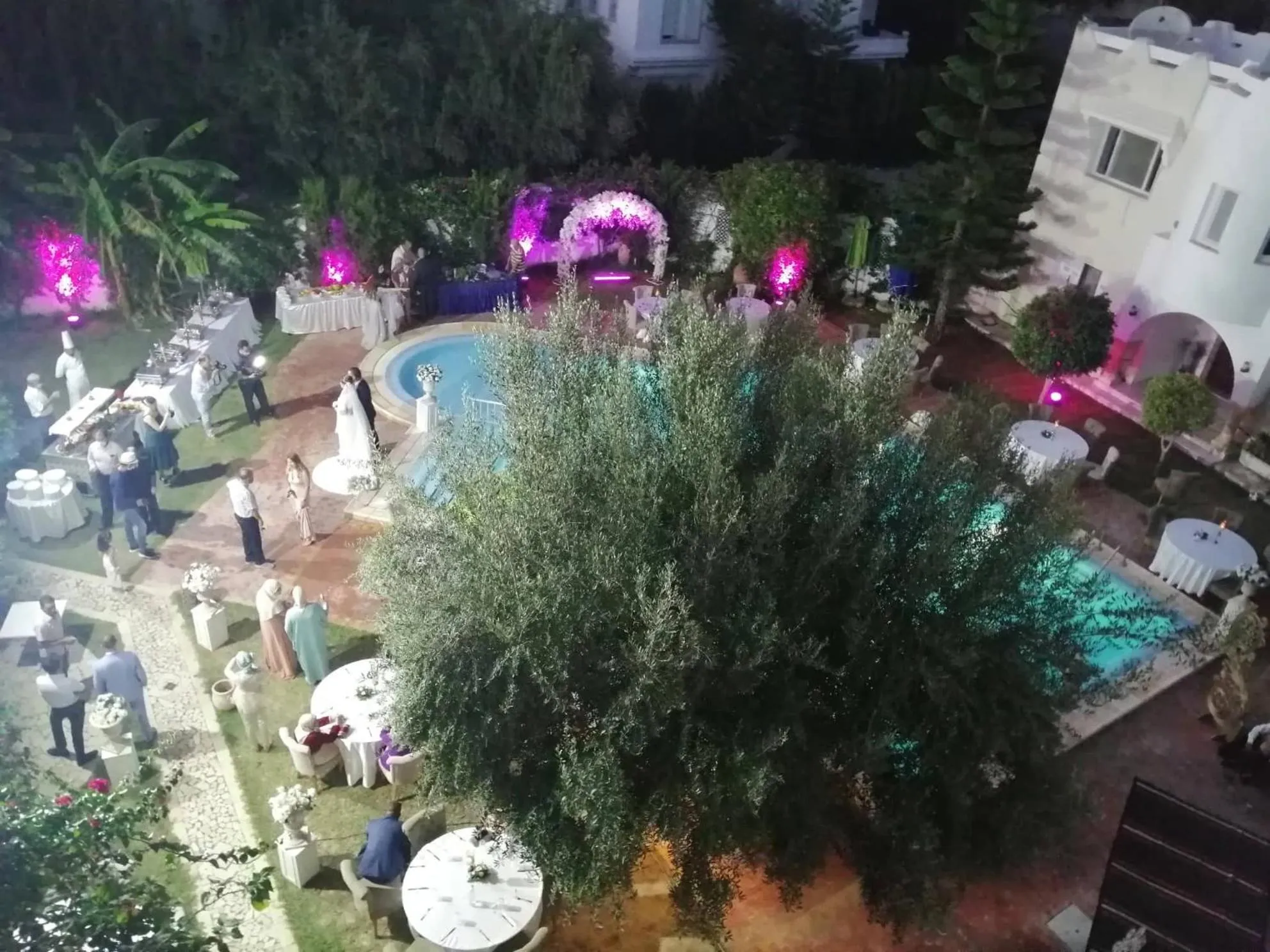 Pool View in Hôtel Romane