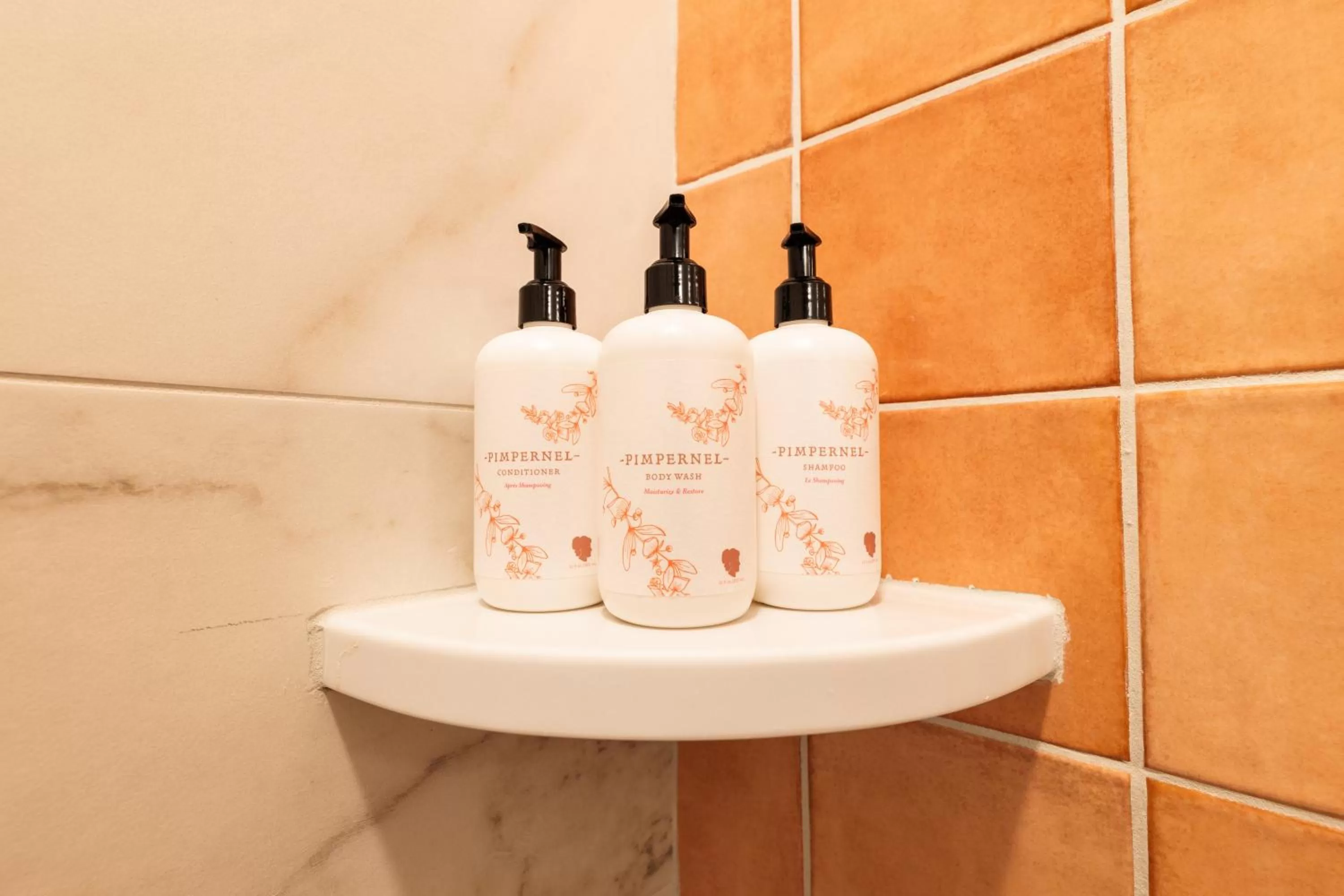 Shower in Hotel Thaxter