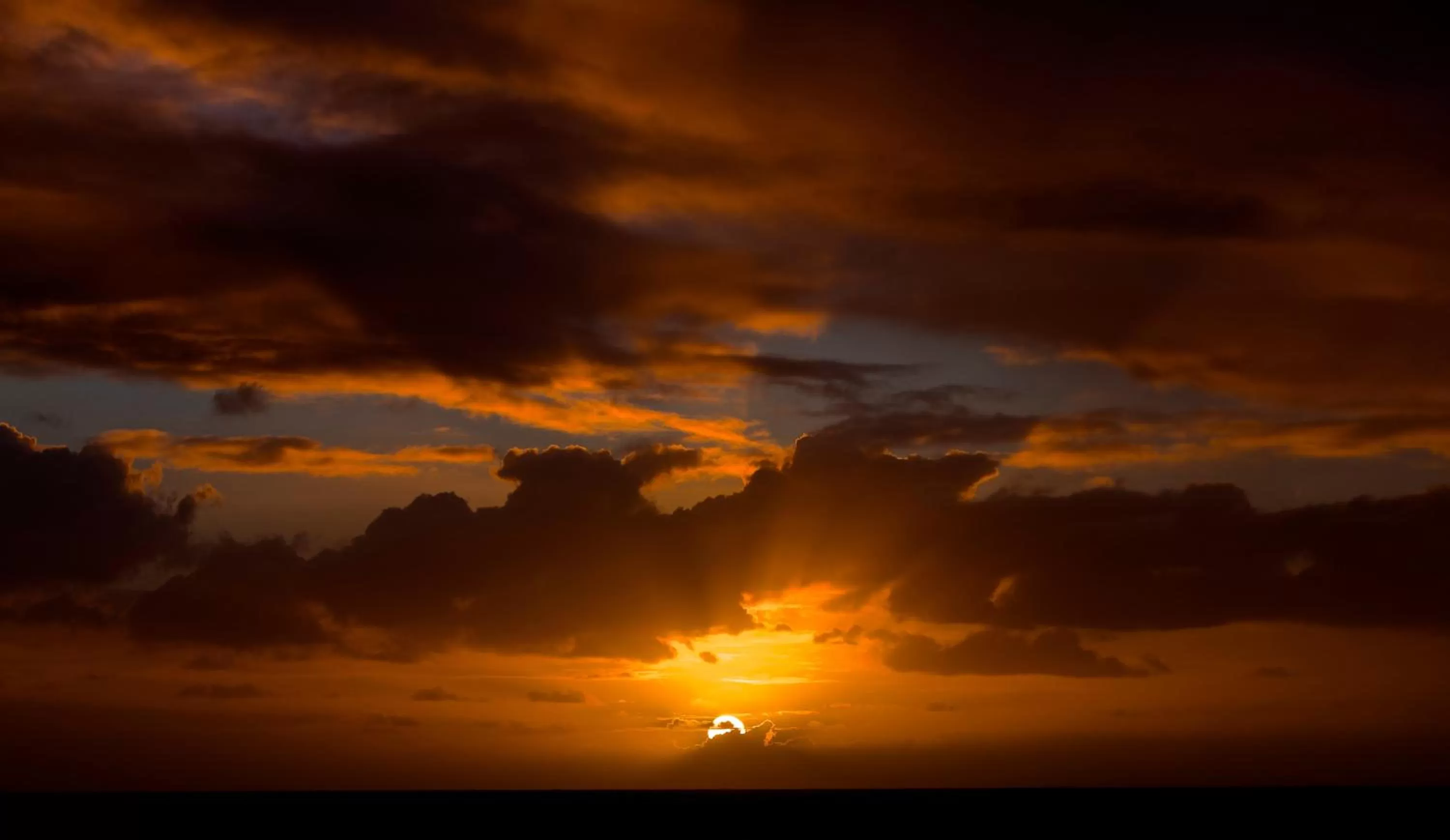 Lake view in Lake Weyba Cottages Noosa