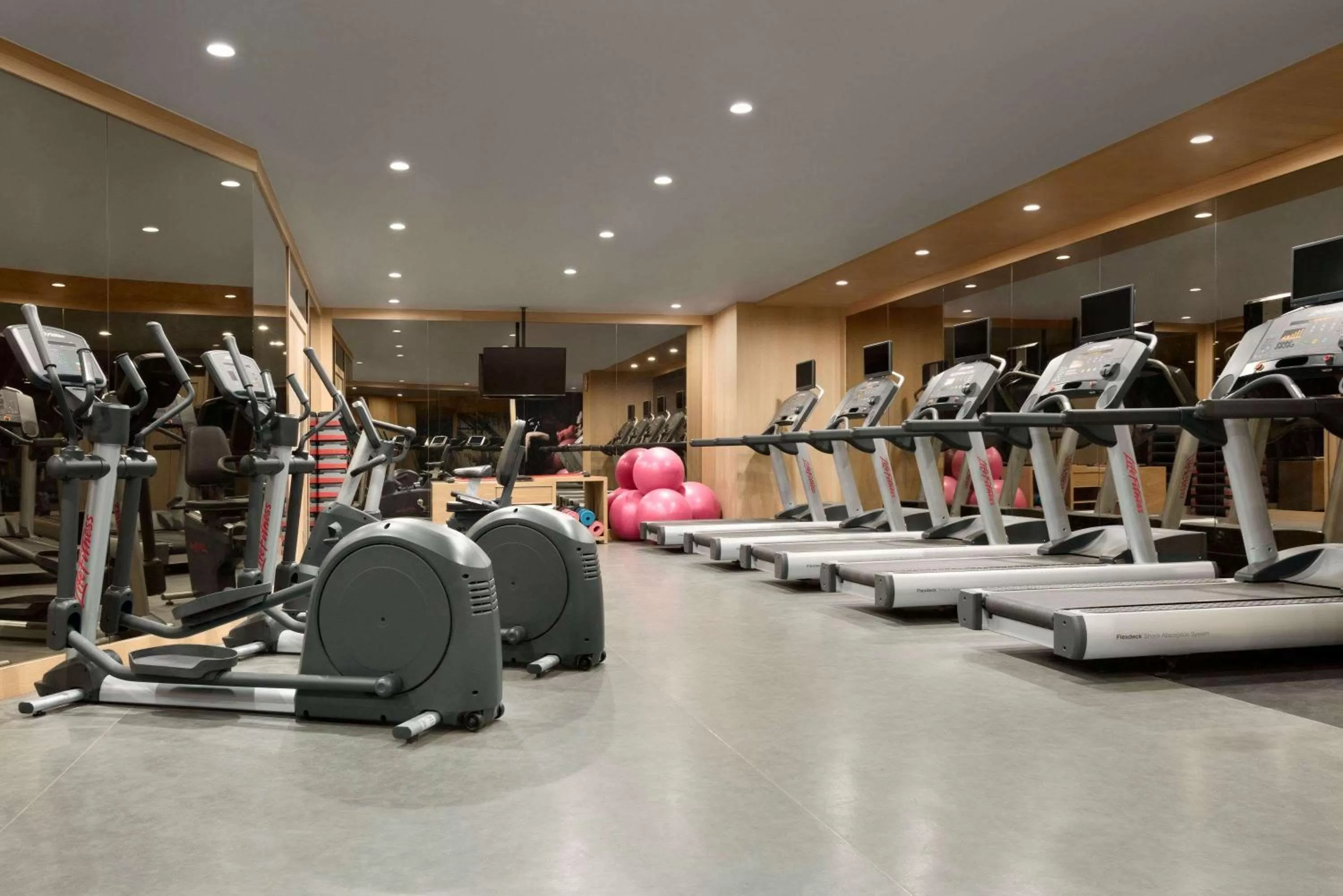 Fitness centre/facilities in Ramada Plaza By Wyndham Konya