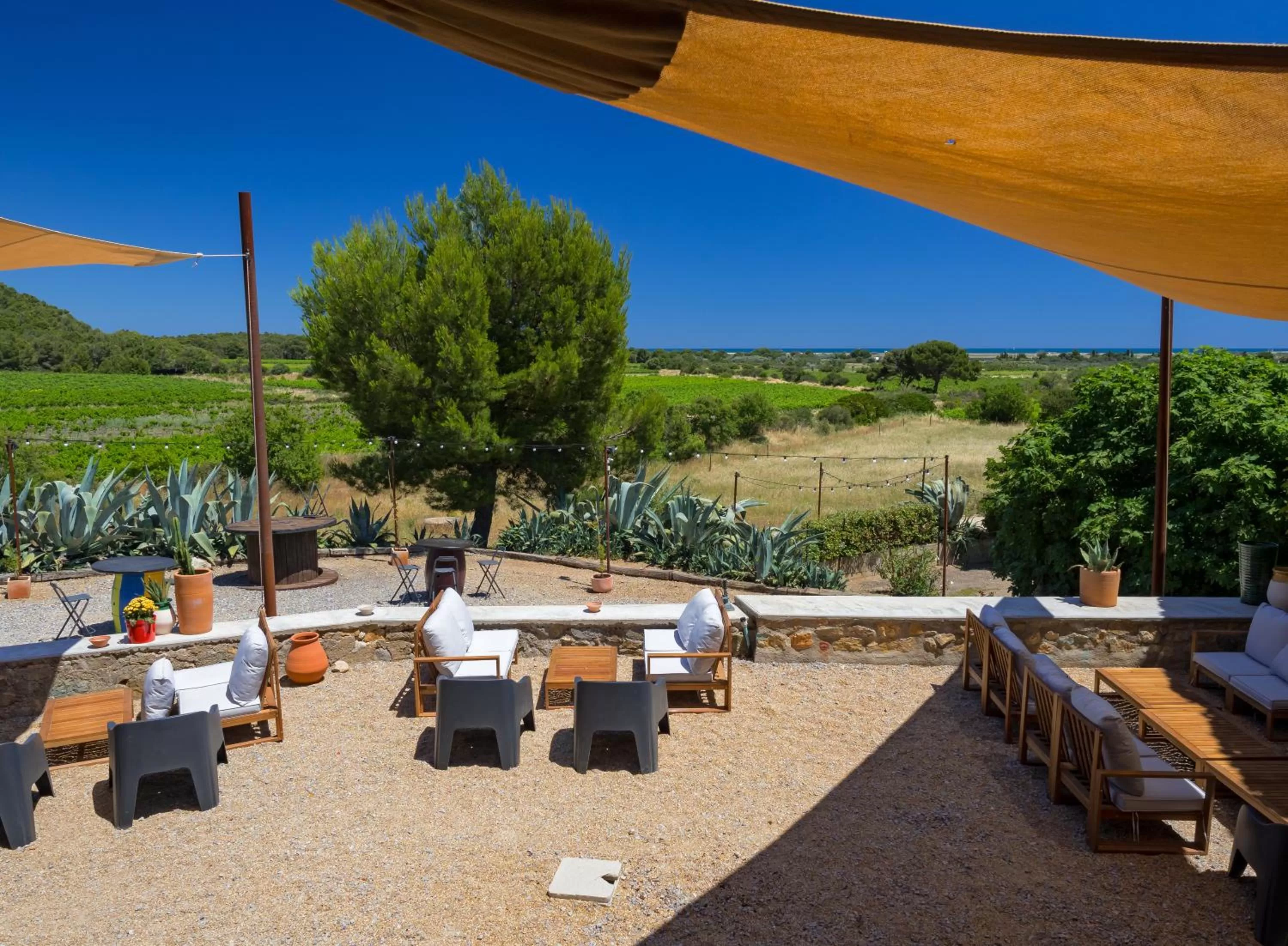 Restaurant/places to eat in Château le Bouïs