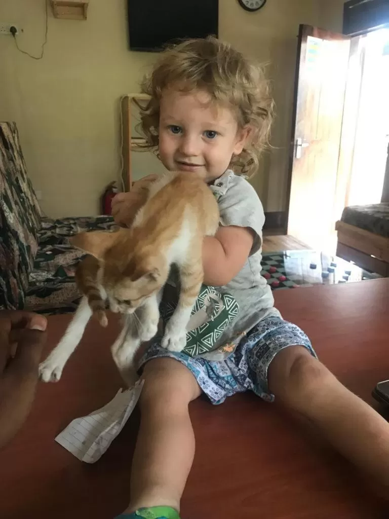 Pets in L&J Modern Backpackers Kinondoni