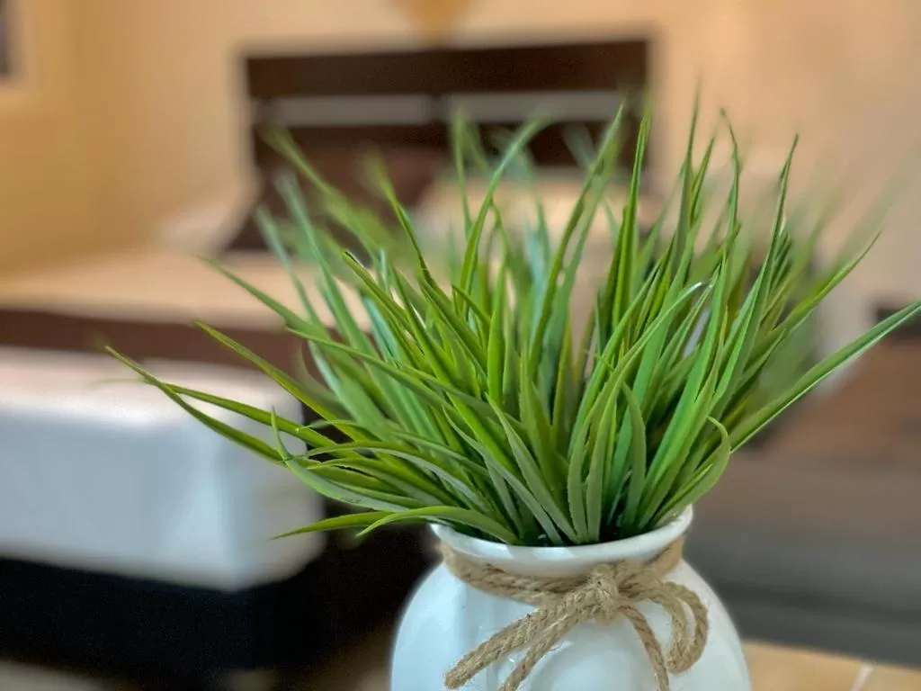 Bed in Corazon de Tulum