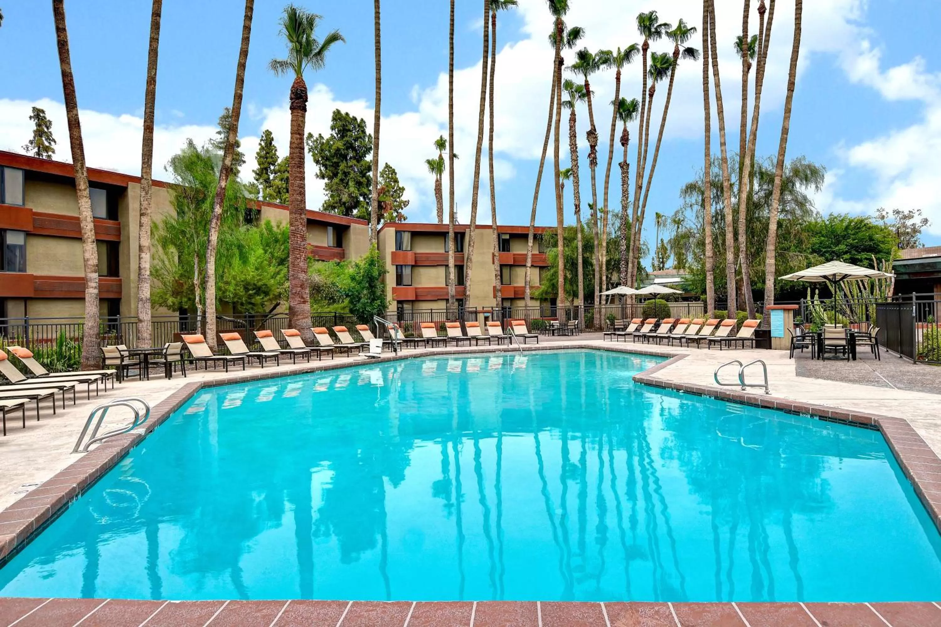 Pool view in DoubleTree by Hilton Phoenix- Tempe