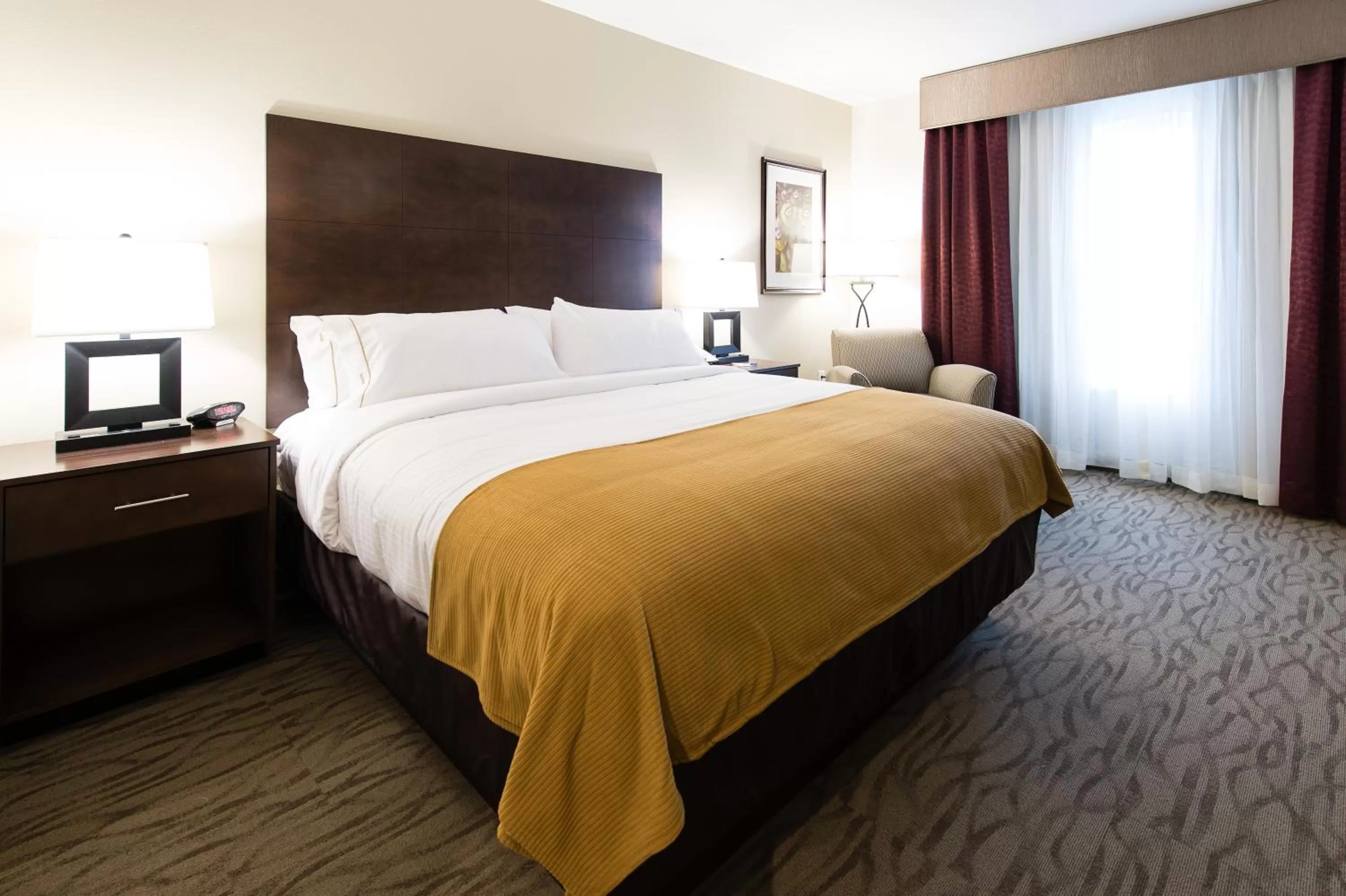 Executive Suite in Holiday Inn Express & Suites Aiken, an IHG Hotel