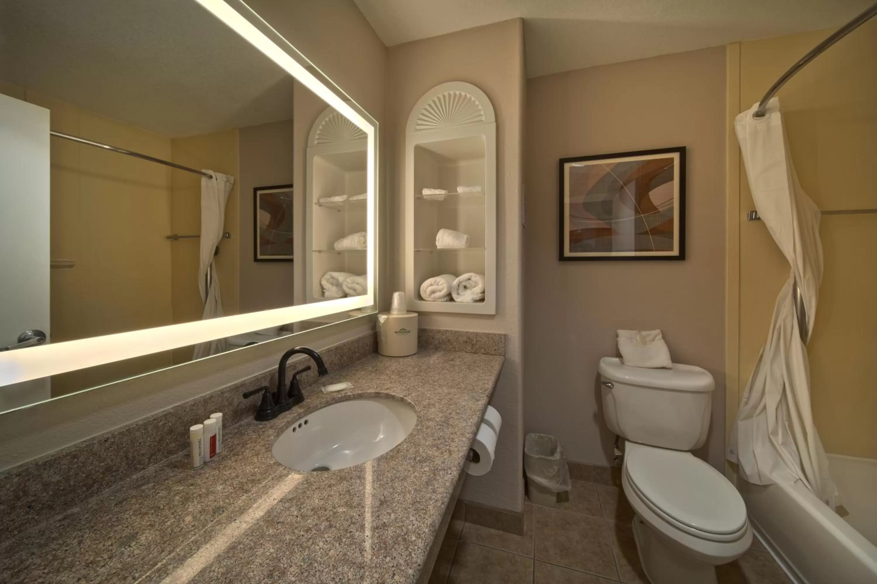 Bathroom in Wingate by Wyndham Houston Bush Intercontinental Airport