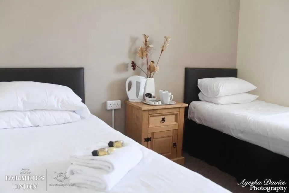 Standard Twin Room in The Farmers Union