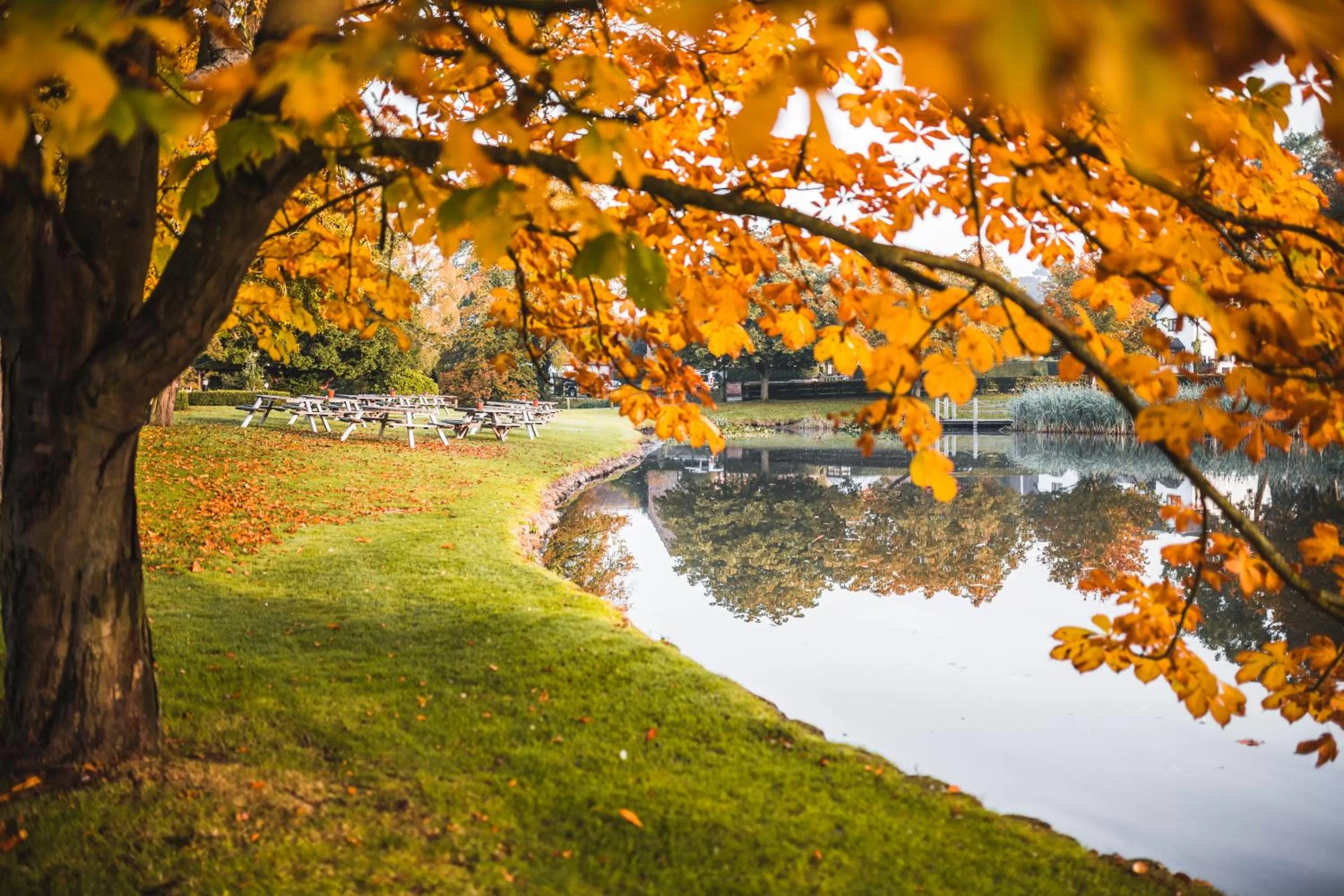 Property building in The Moat House