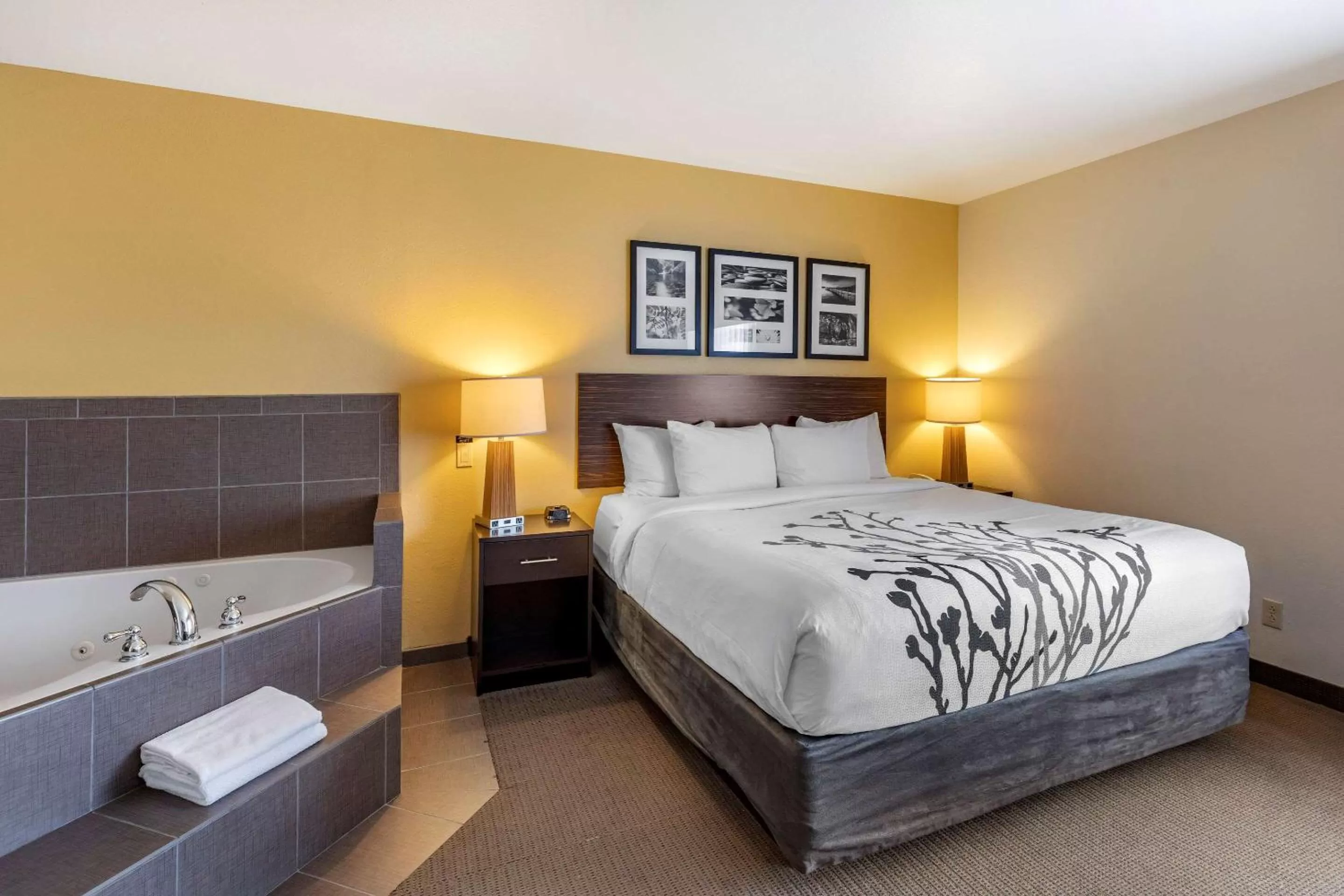 Photo of the whole room, Bed in Sleep Inn & Suites Miles City I-94