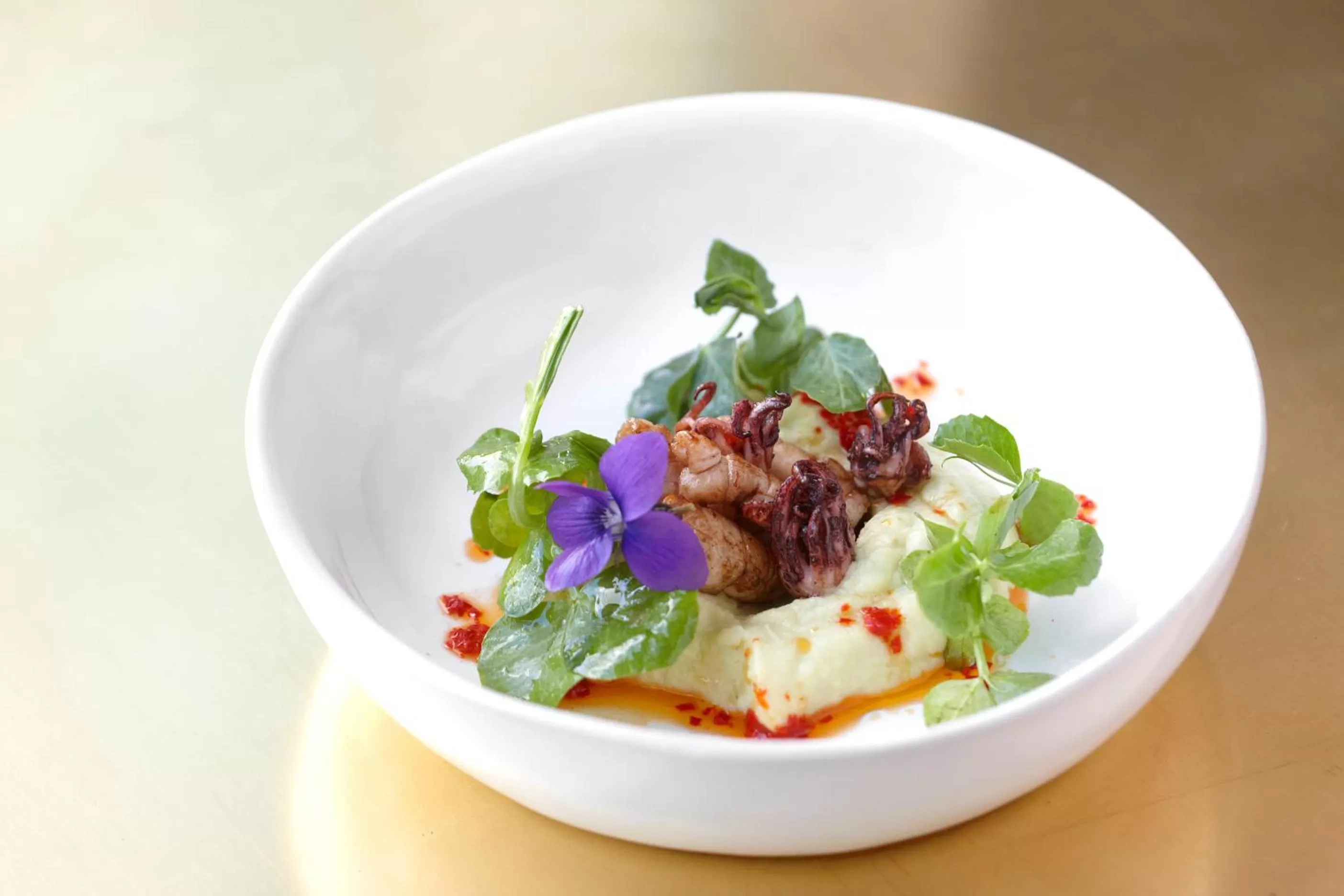 Spring in The Robertson Small Hotel and Spa by The Living Journey Collection