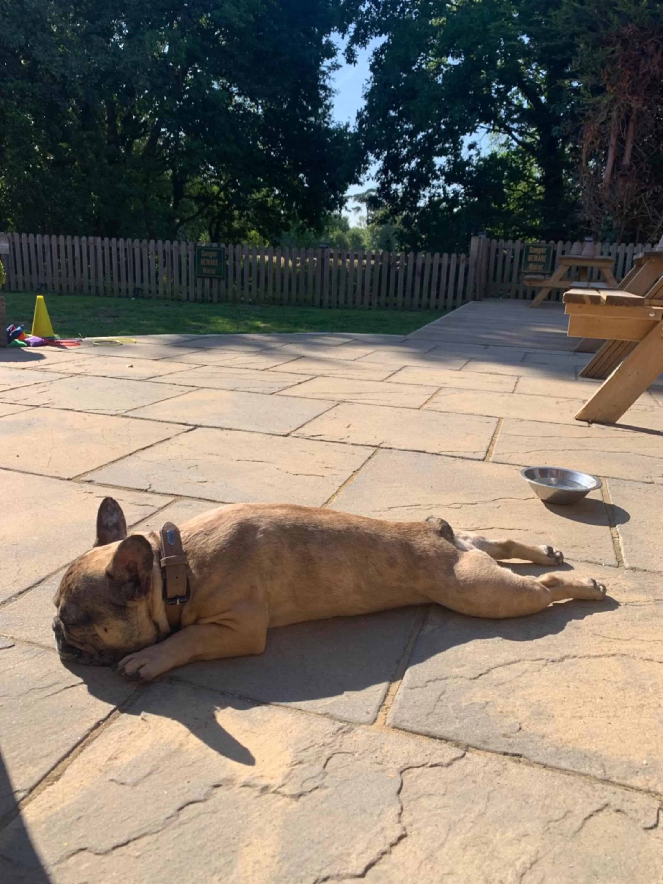 Garden, Pets in Crown & Anchor