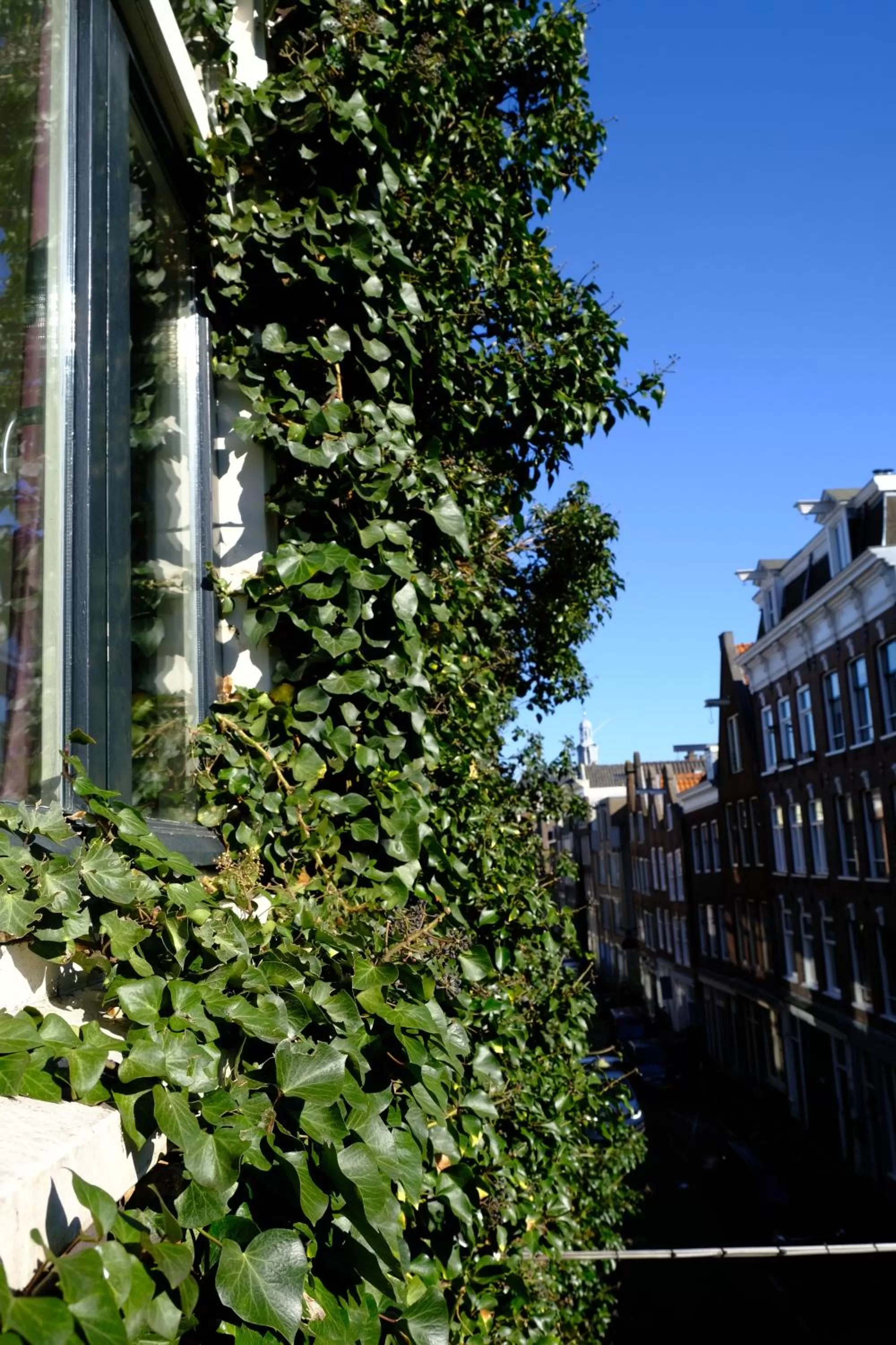 Eelhouse private studio