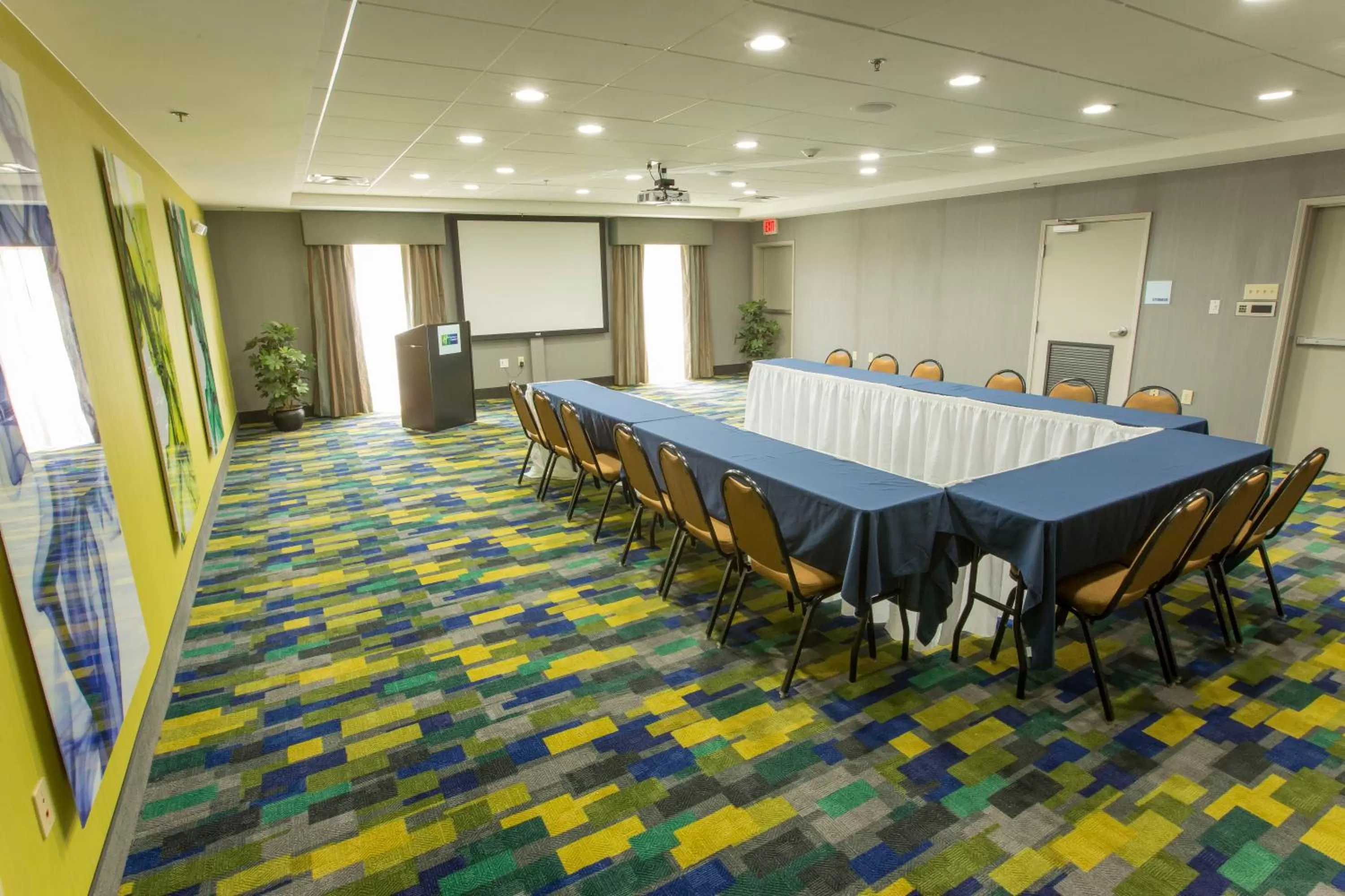 Meeting/conference room in Holiday Inn Express Hotel & Suites McDonough by IHG