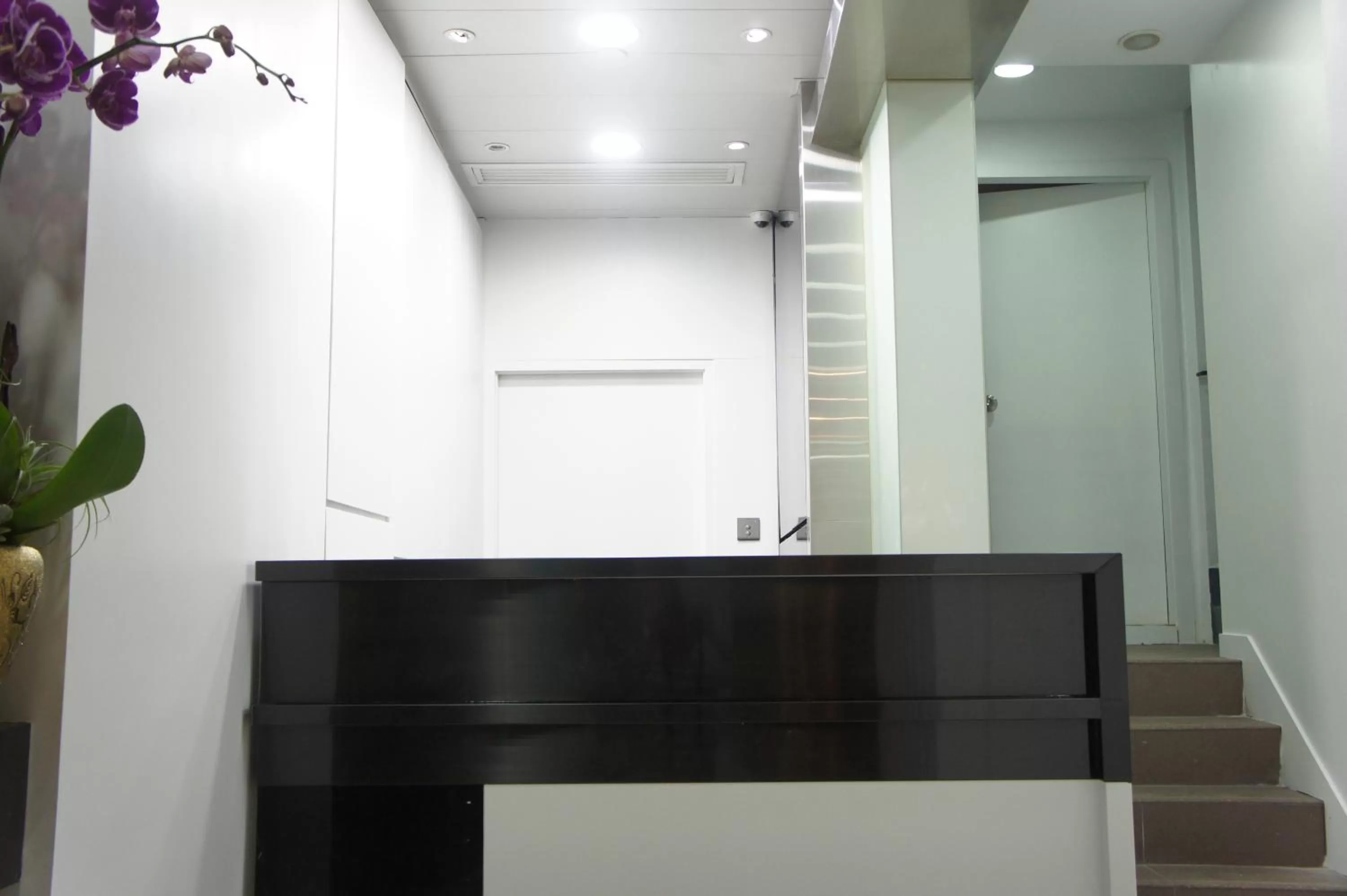 Property building in Homy Central