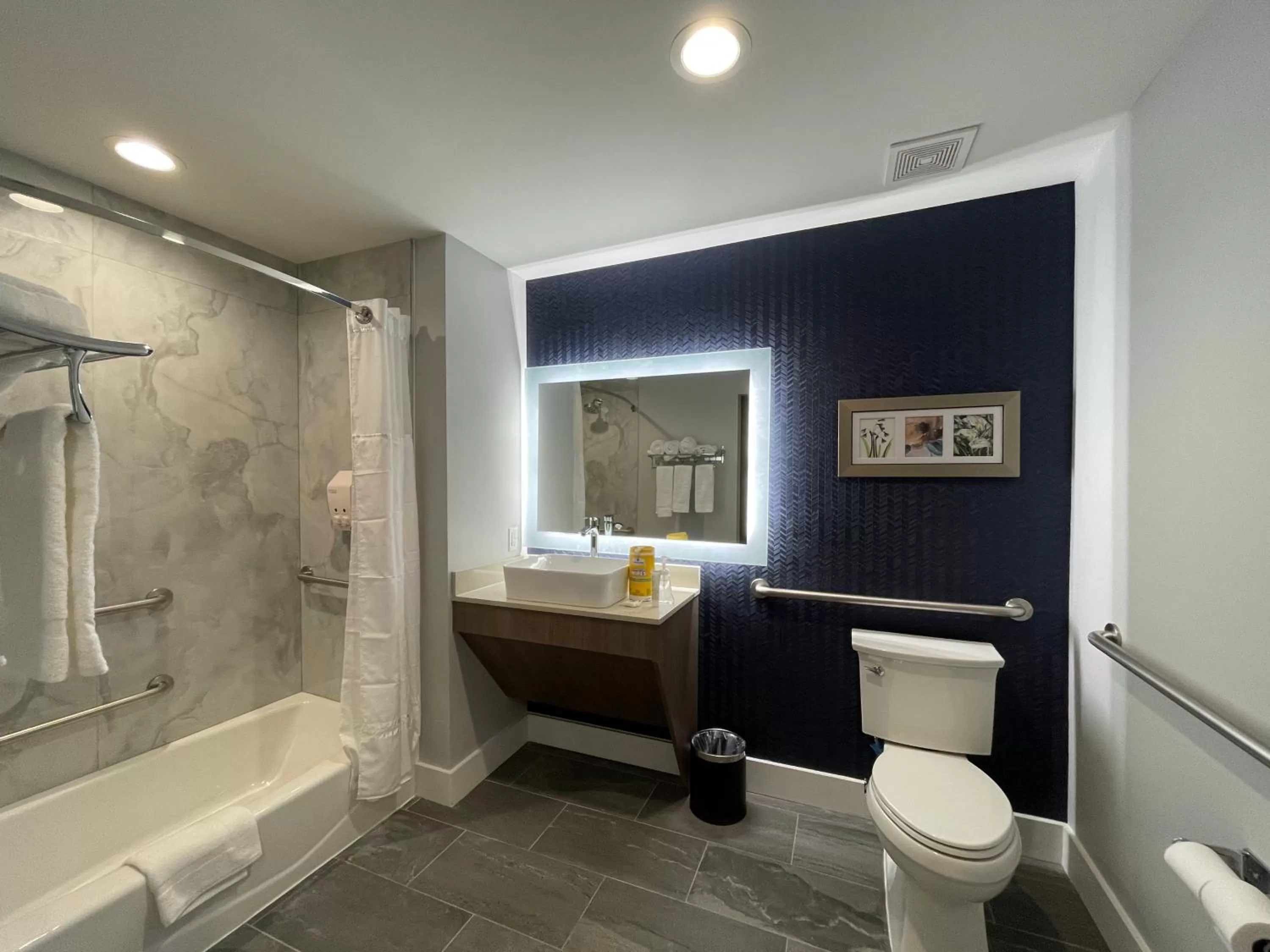 Bathroom in Palace Inn Blue Houston East Beltway 8