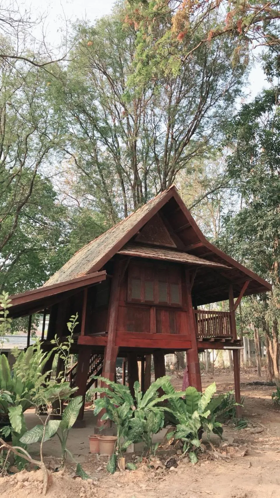 Property building in Insight Hostel