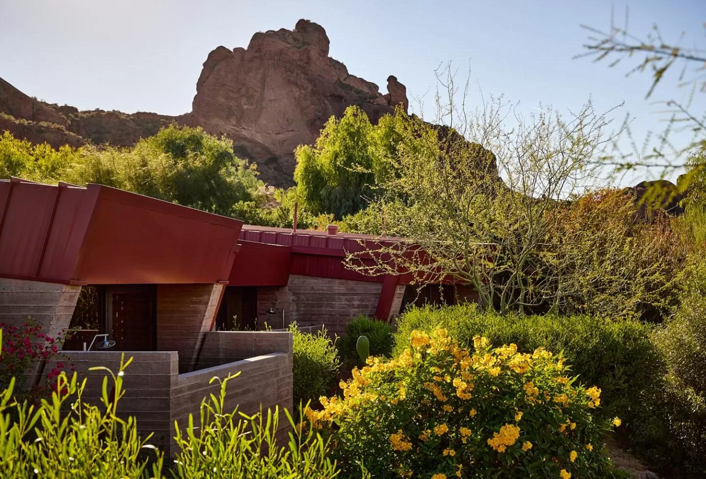 Natural landscape in Sanctuary Camelback Mountain Resort and Spa