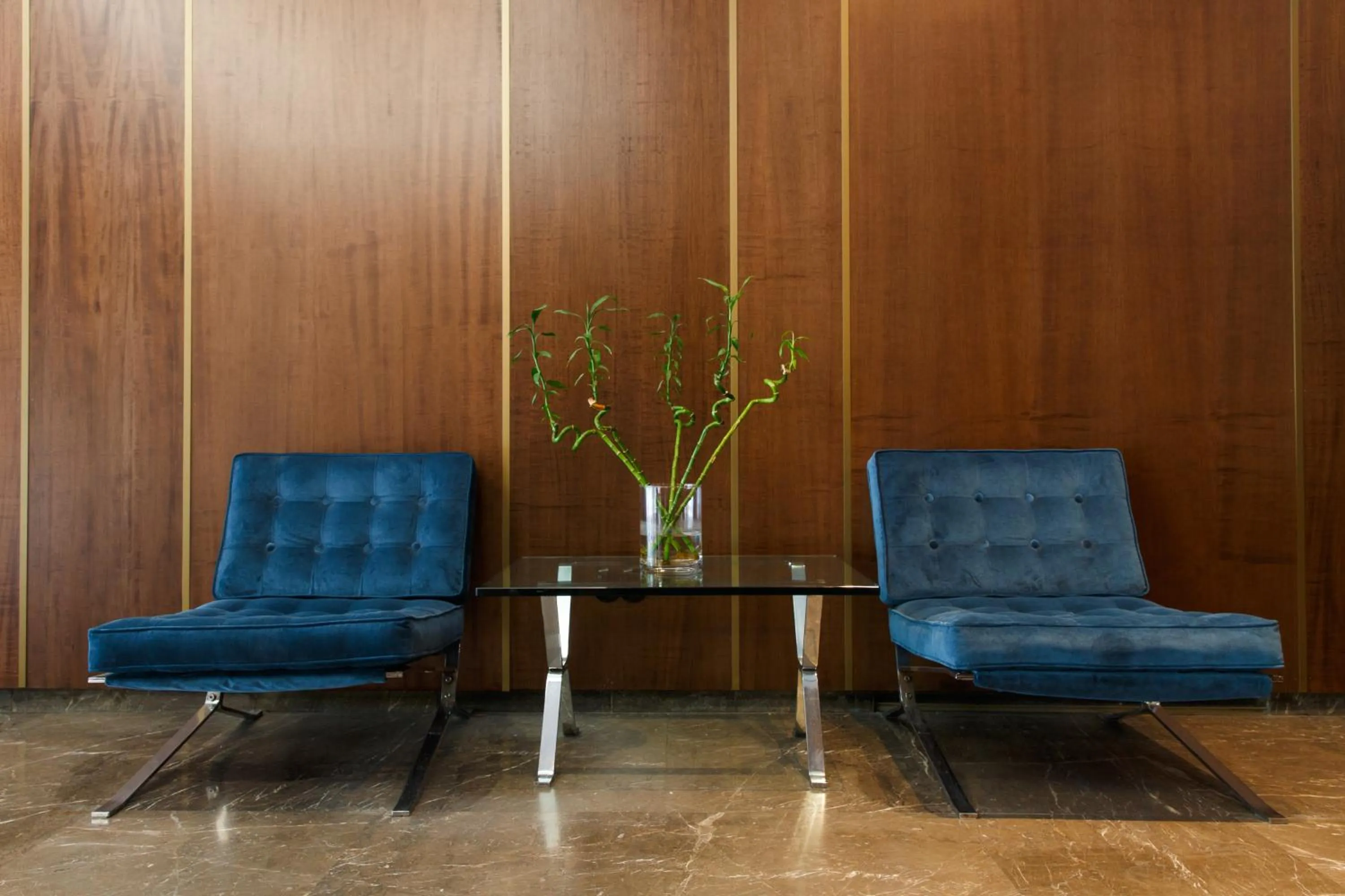 Lobby or reception in Delice Hotel - Family Apartments