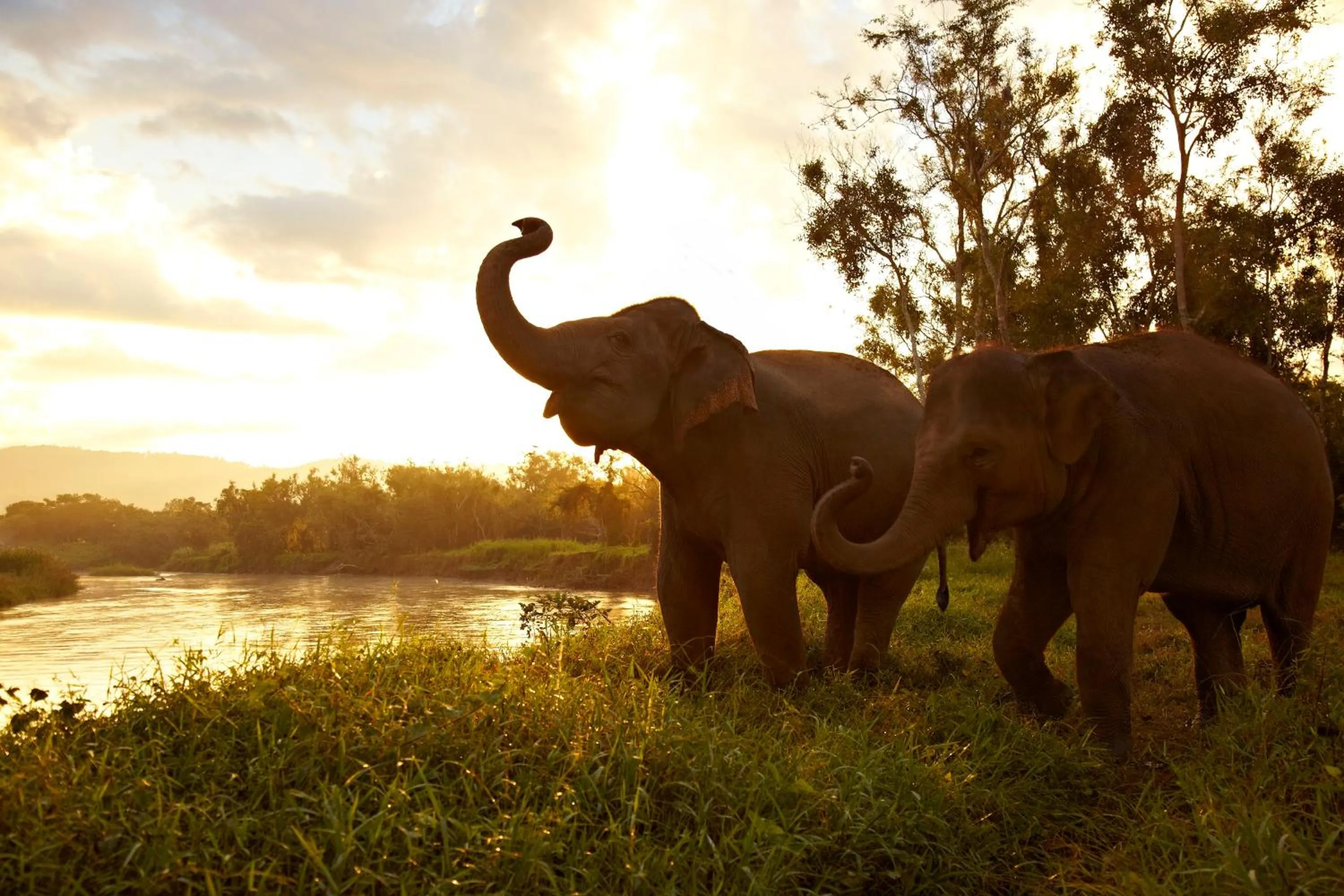 Natural landscape in Anantara Golden Triangle Elephant Camp & Resort