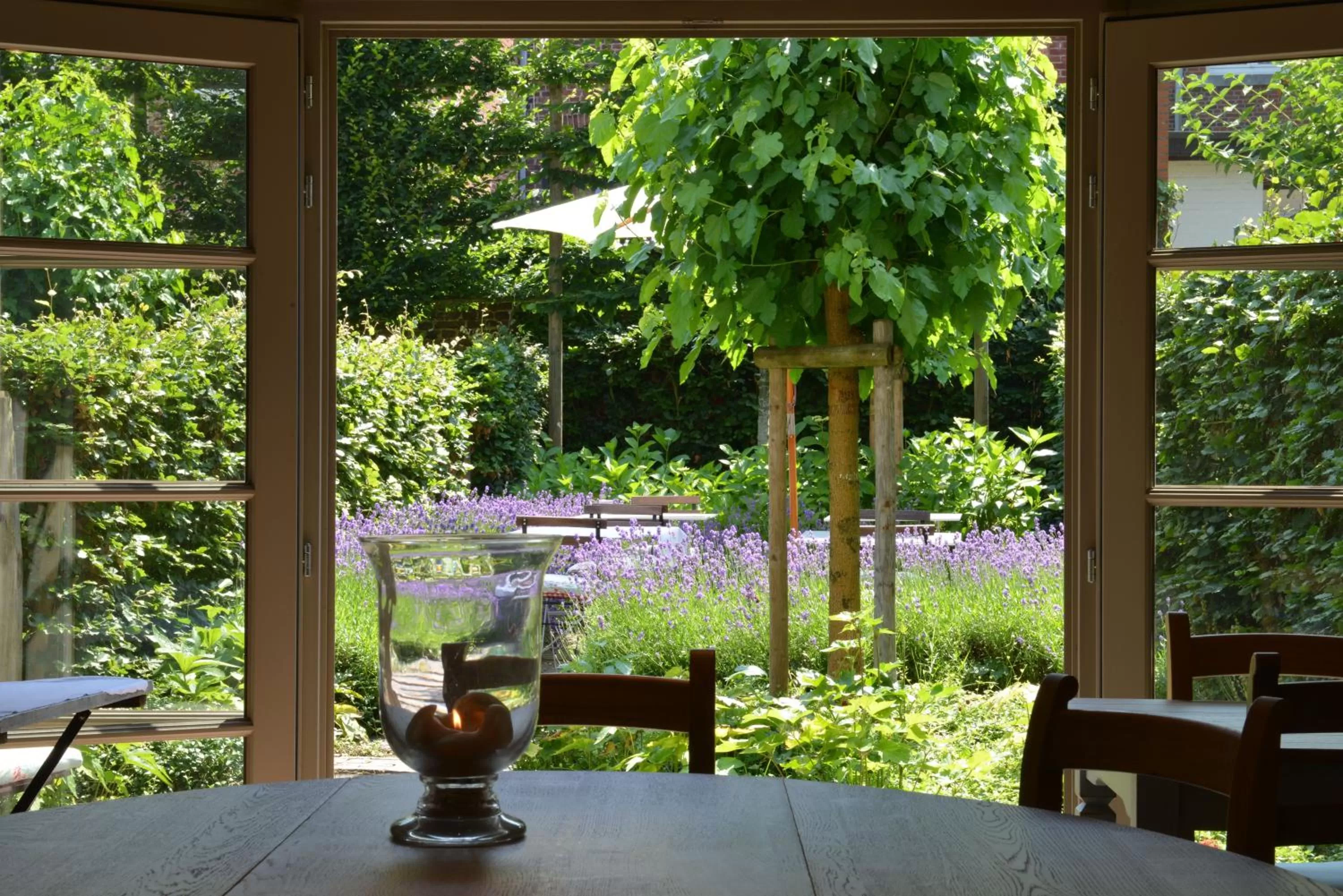 Garden in Boetiekhotel Hemelhuys