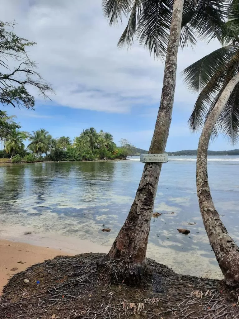 Casa Acuario Boutique Hotel